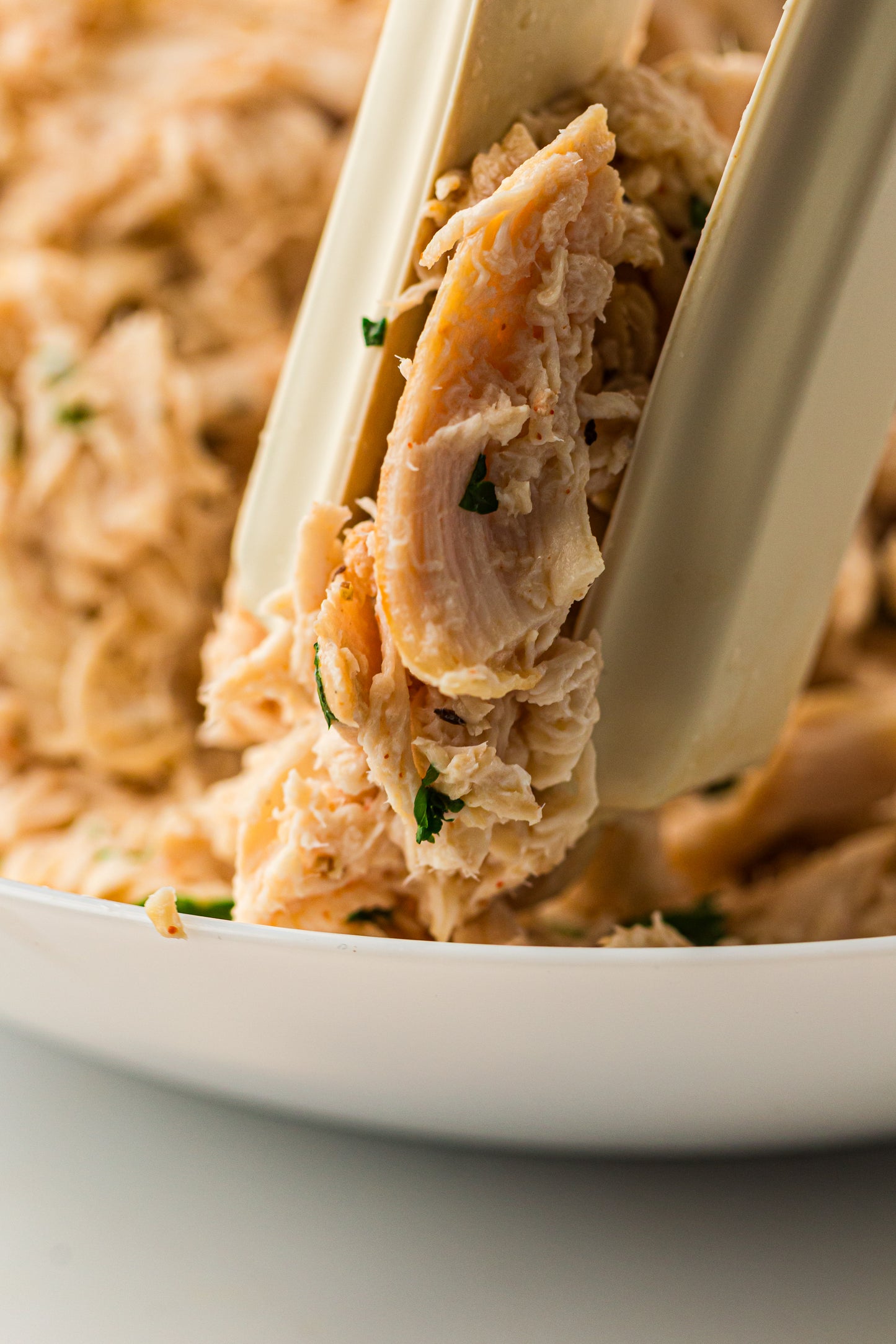 PLR Slow Cooker Pulled Chicken/ Slow Cooker Shredded Chicken