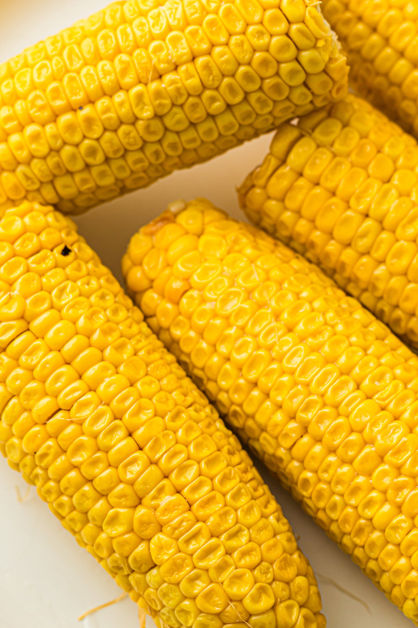 PLR Boiled Corn on the Cob