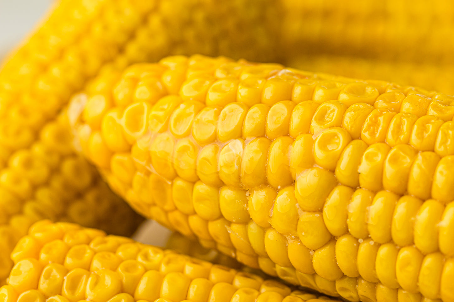 PLR Boiled Corn on the Cob