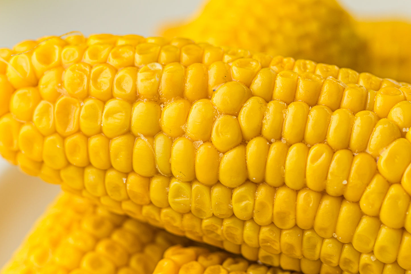 PLR Boiled Corn on the Cob