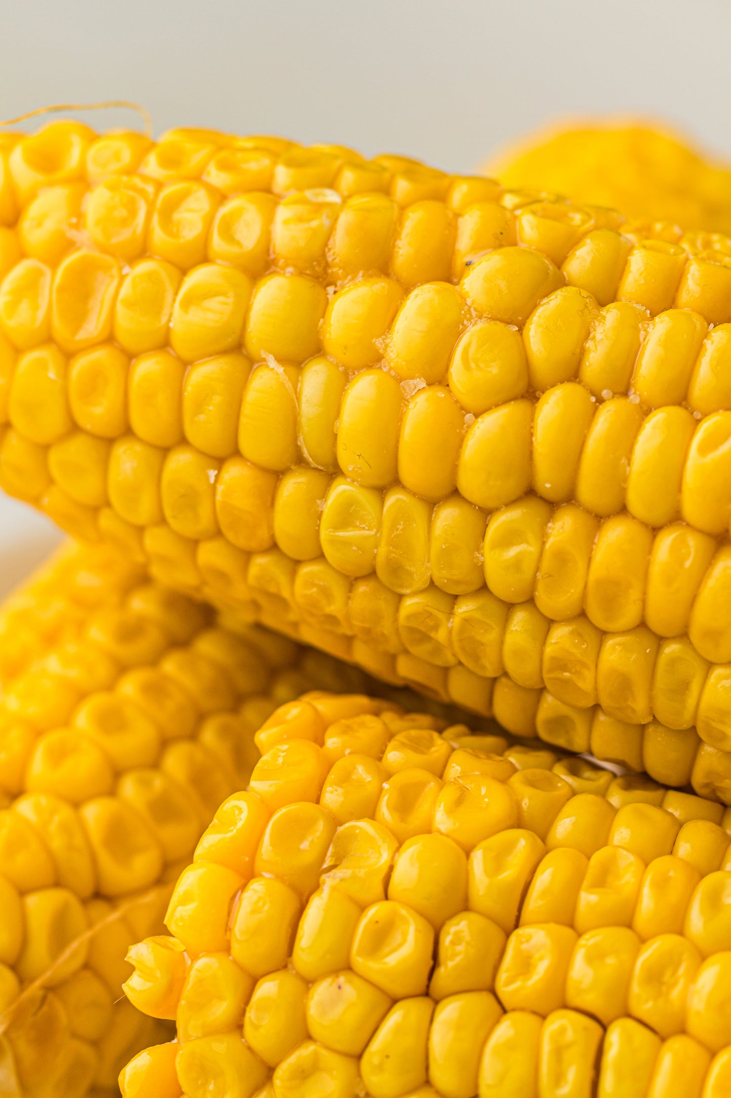 PLR Boiled Corn on the Cob