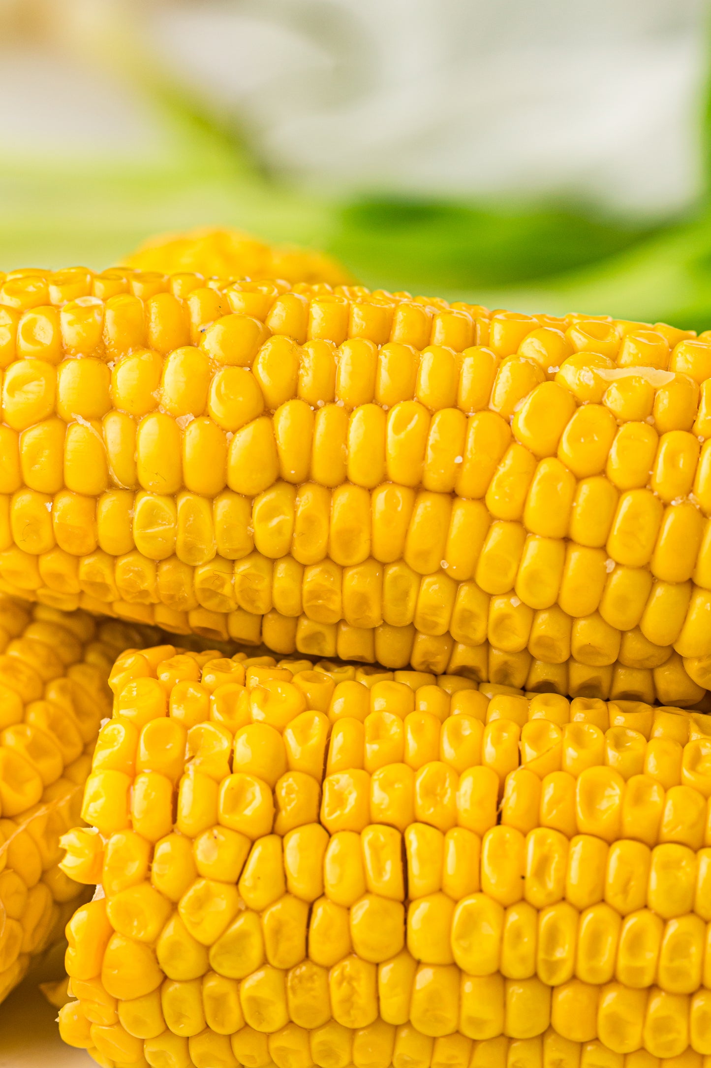 PLR Boiled Corn on the Cob