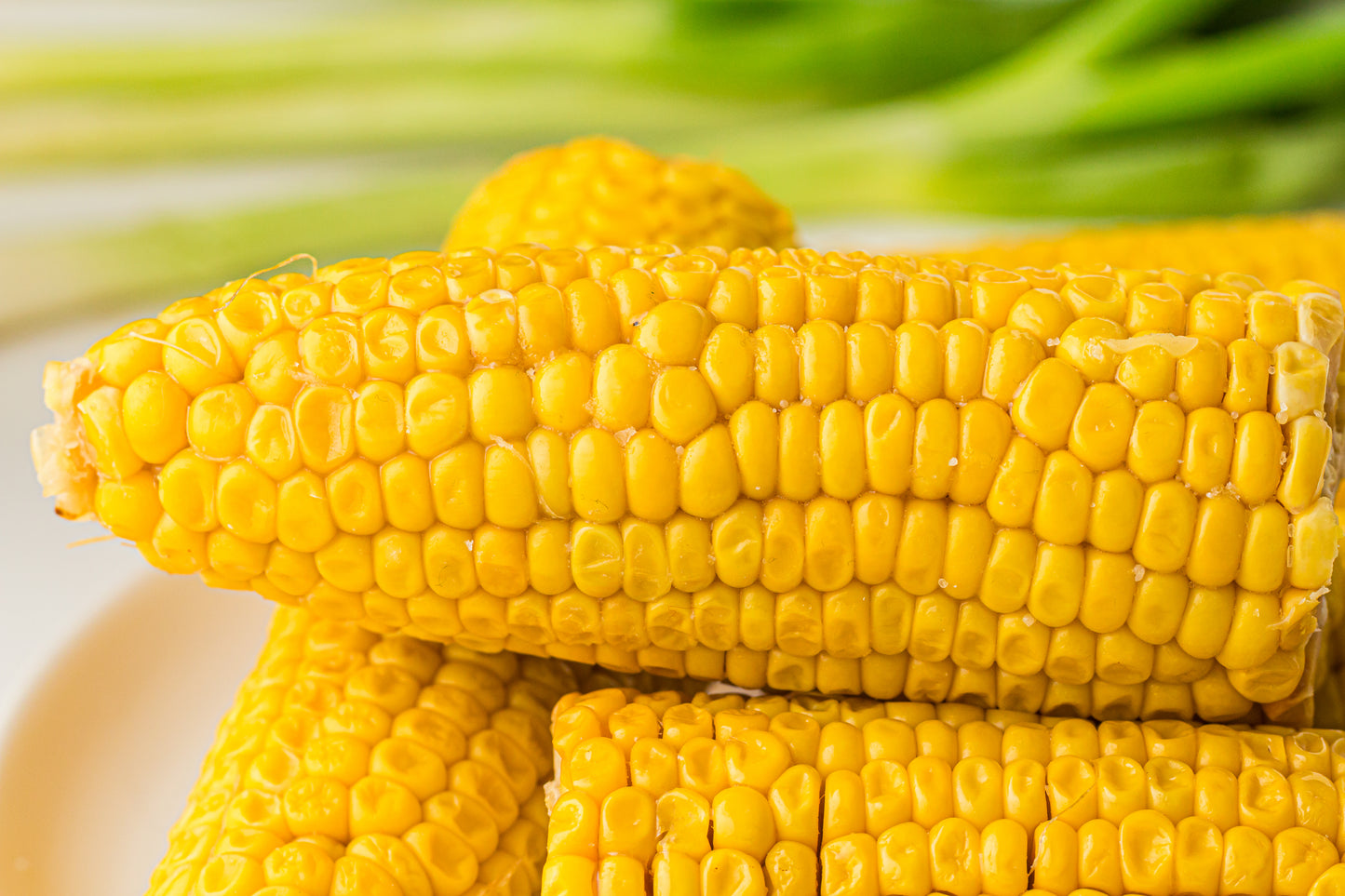 PLR Boiled Corn on the Cob