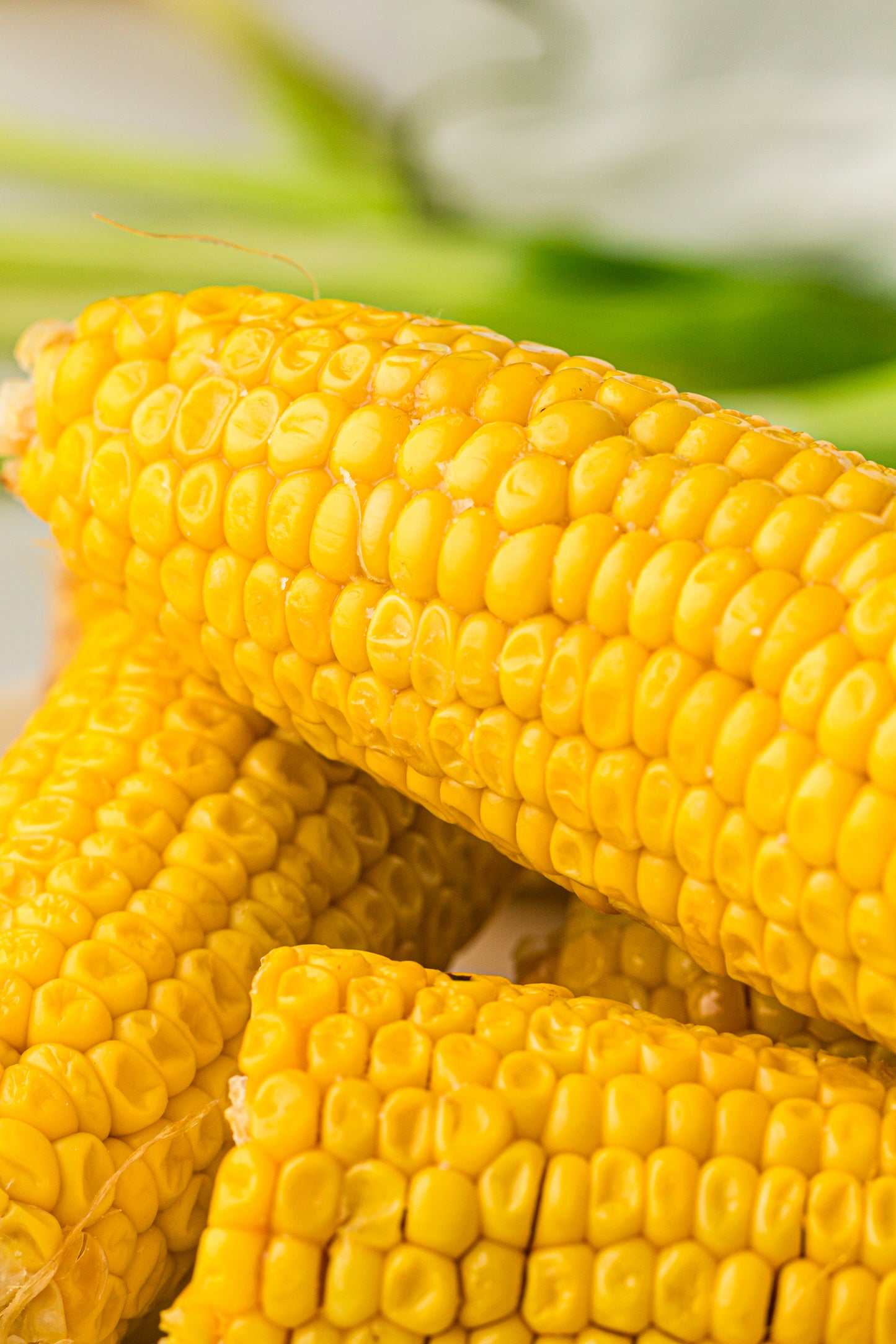PLR Boiled Corn on the Cob