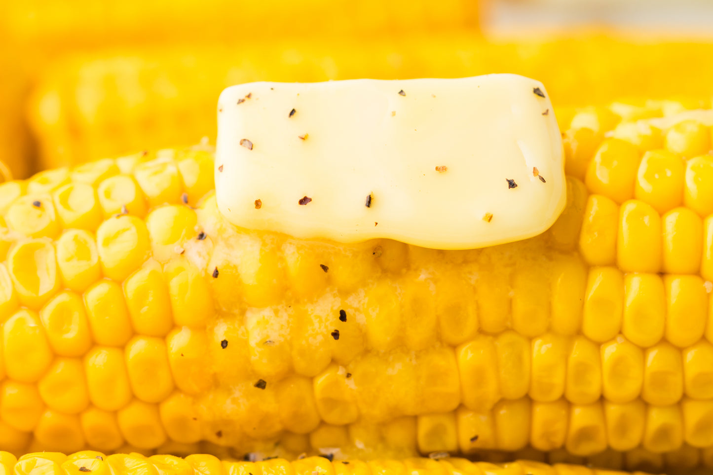 PLR Boiled Corn on the Cob