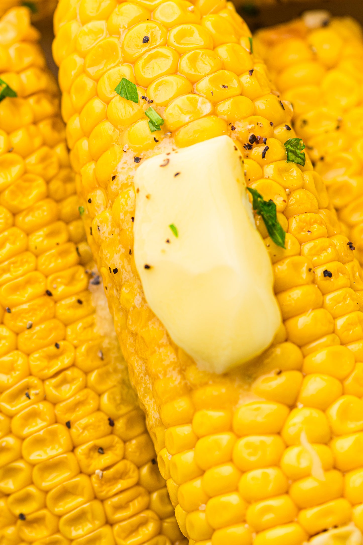 PLR Boiled Corn on the Cob
