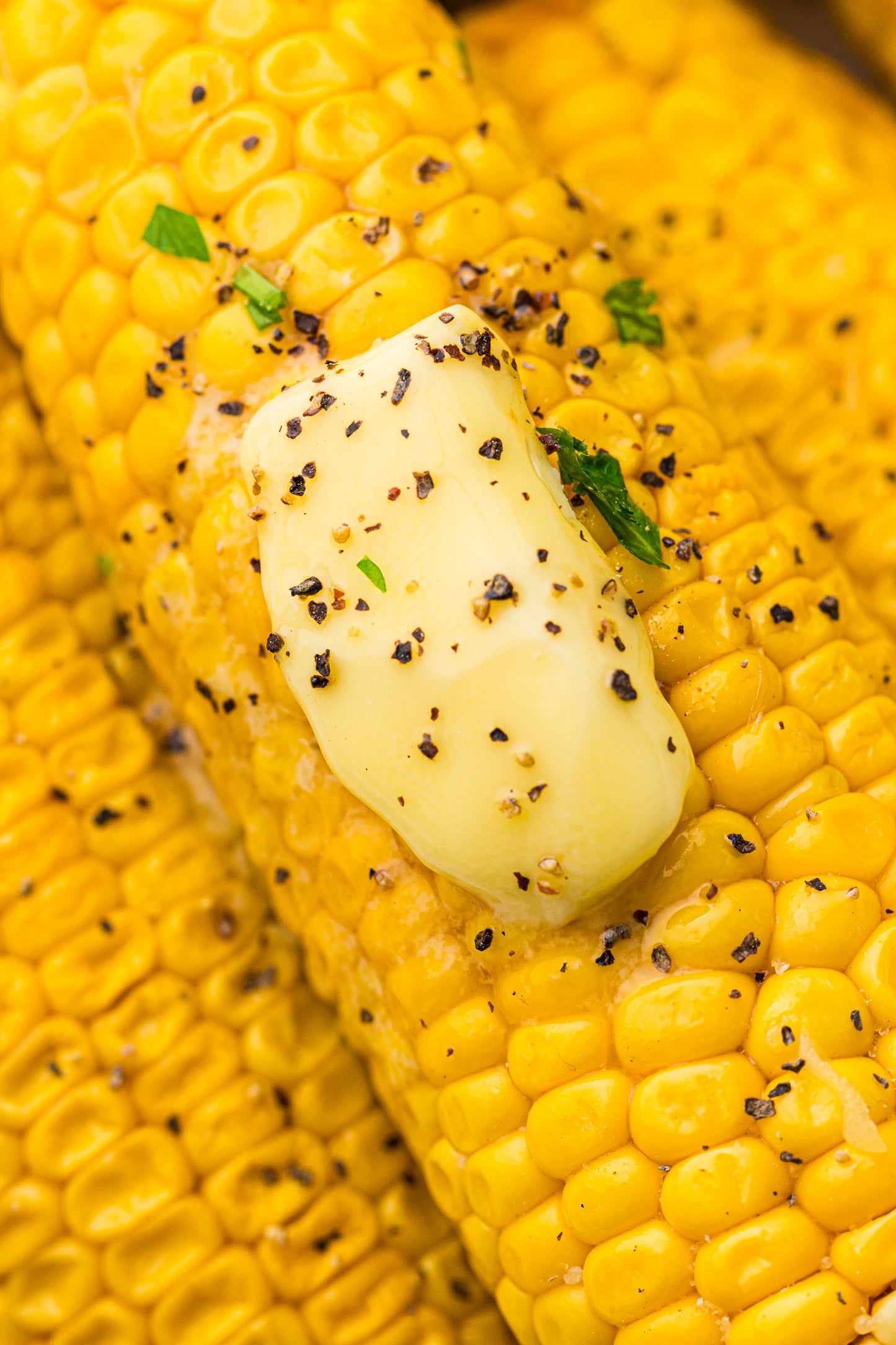 PLR Boiled Corn on the Cob