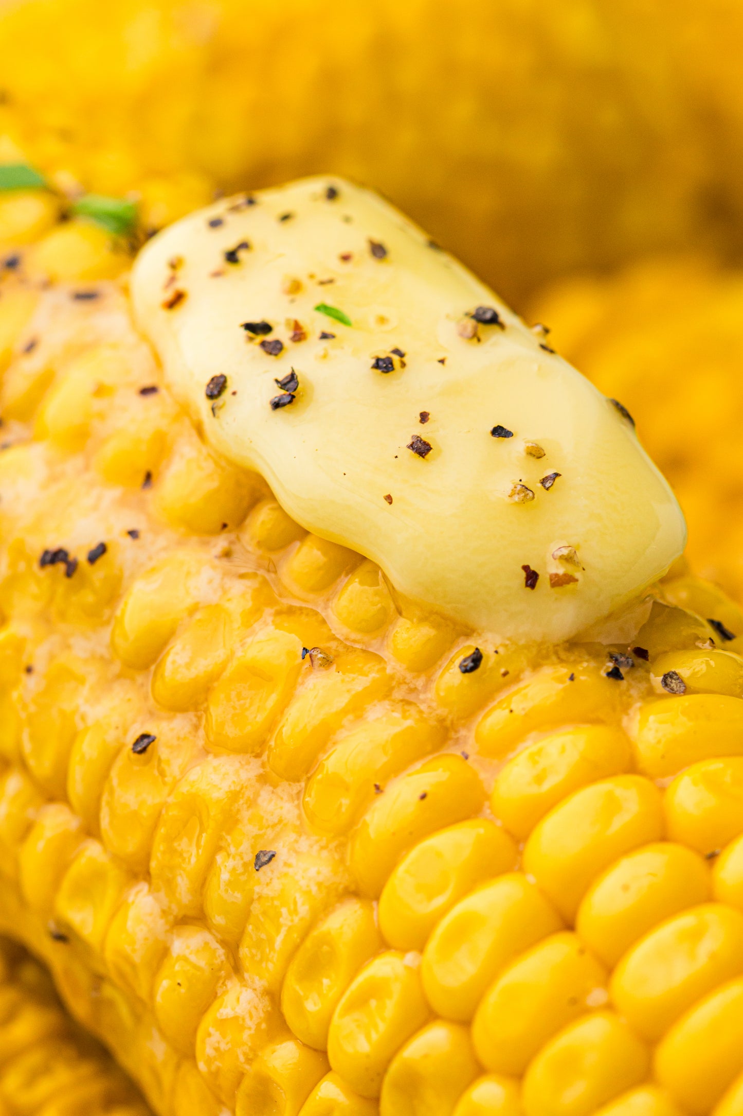 PLR Boiled Corn on the Cob