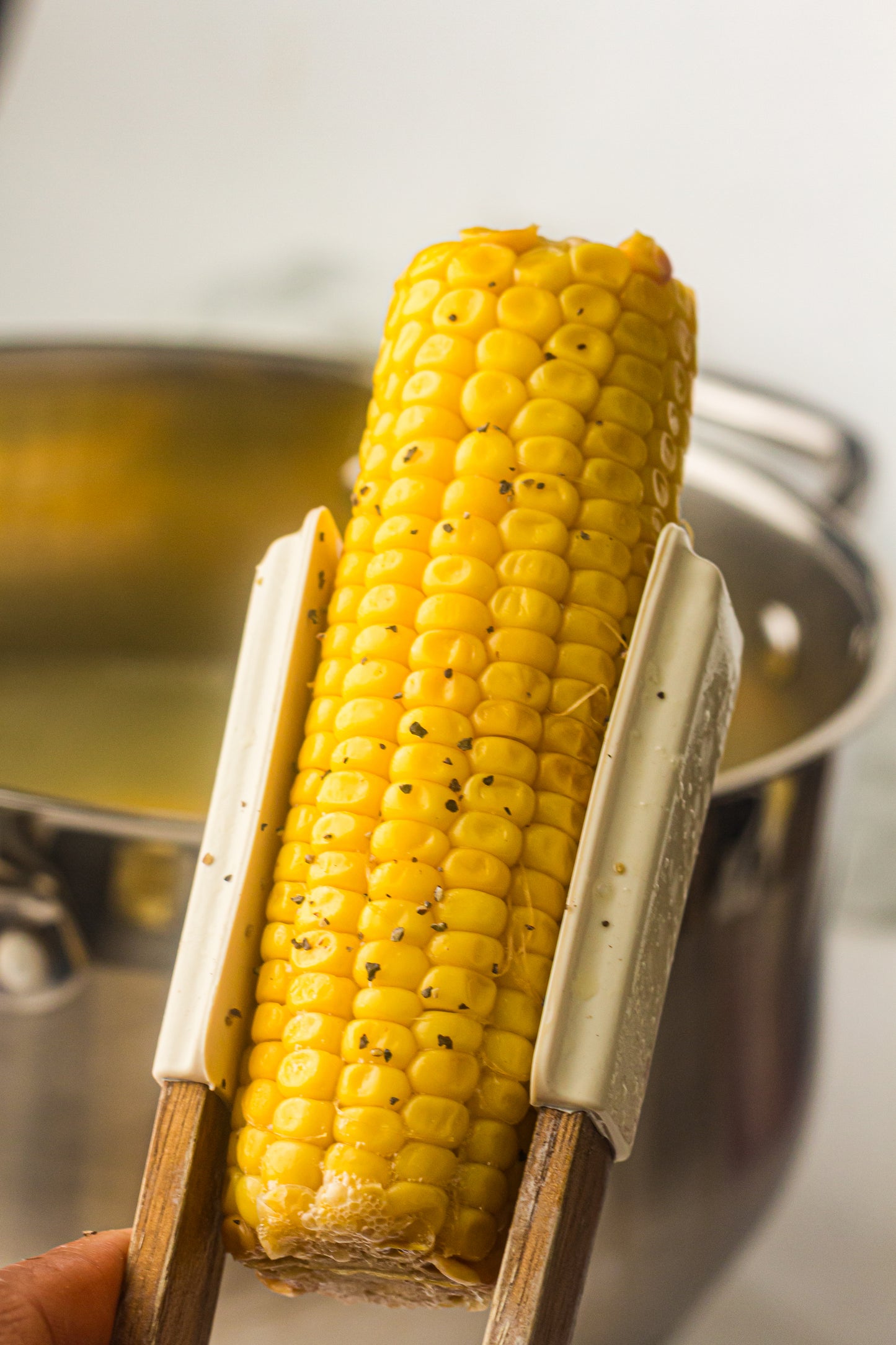 PLR Boiled Corn on the Cob