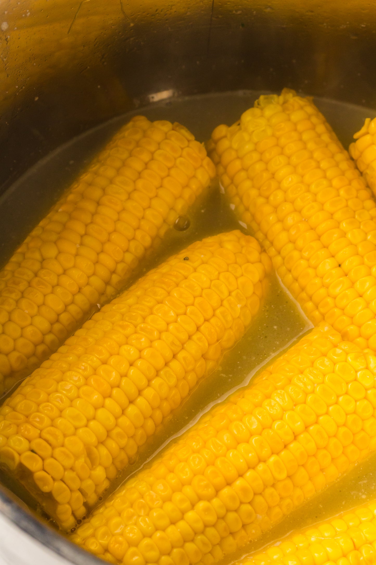 PLR Boiled Corn on the Cob