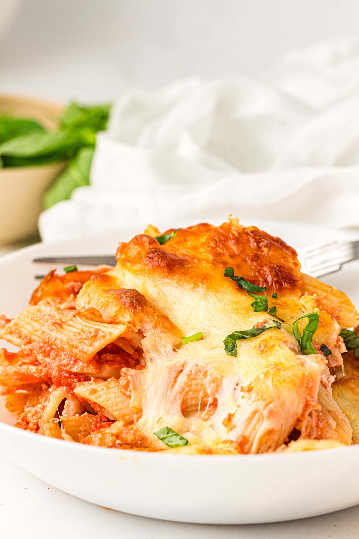 Baked Ziti PLR Recipe