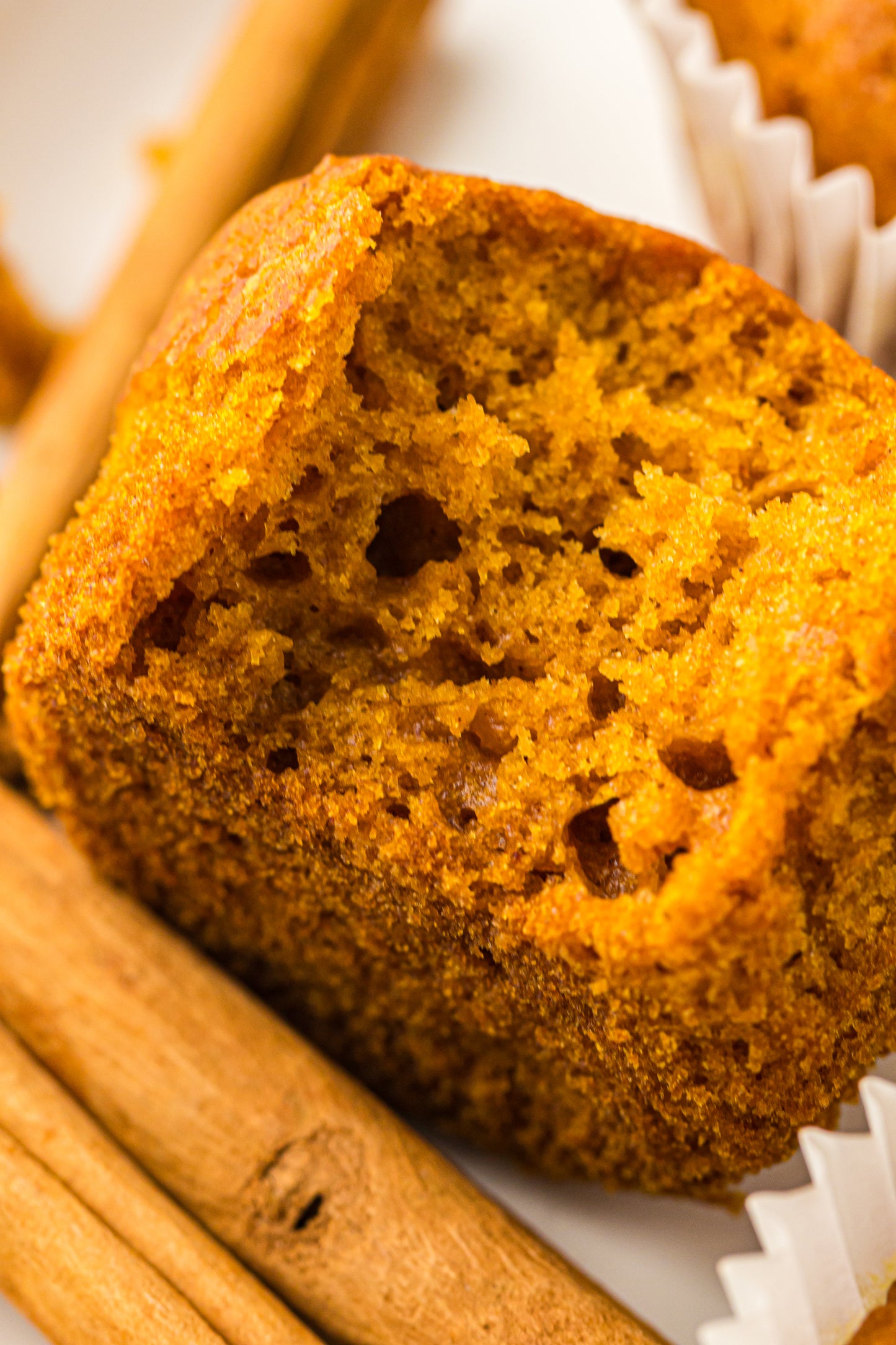 Pumpkin Muffins – PLR Recipe