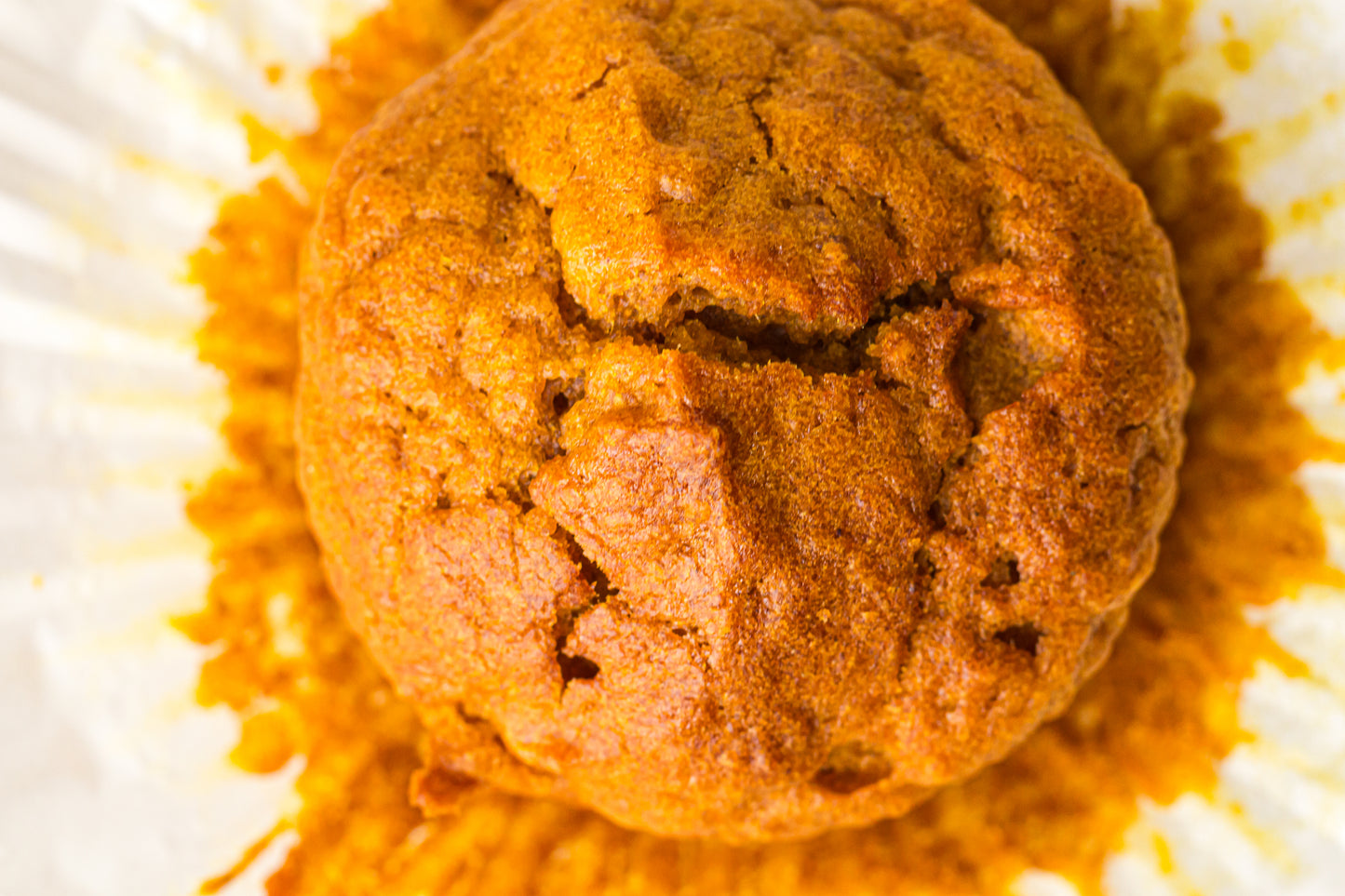 Pumpkin Muffins – PLR Recipe