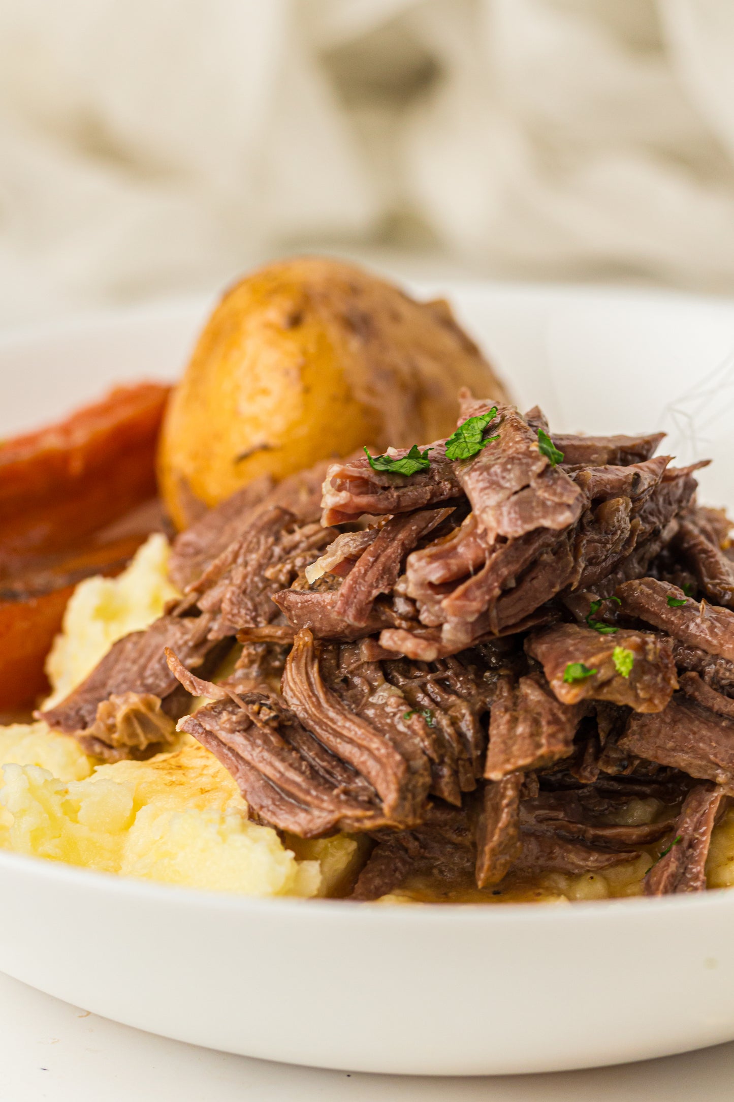 Pot Roast - PLR Recipe