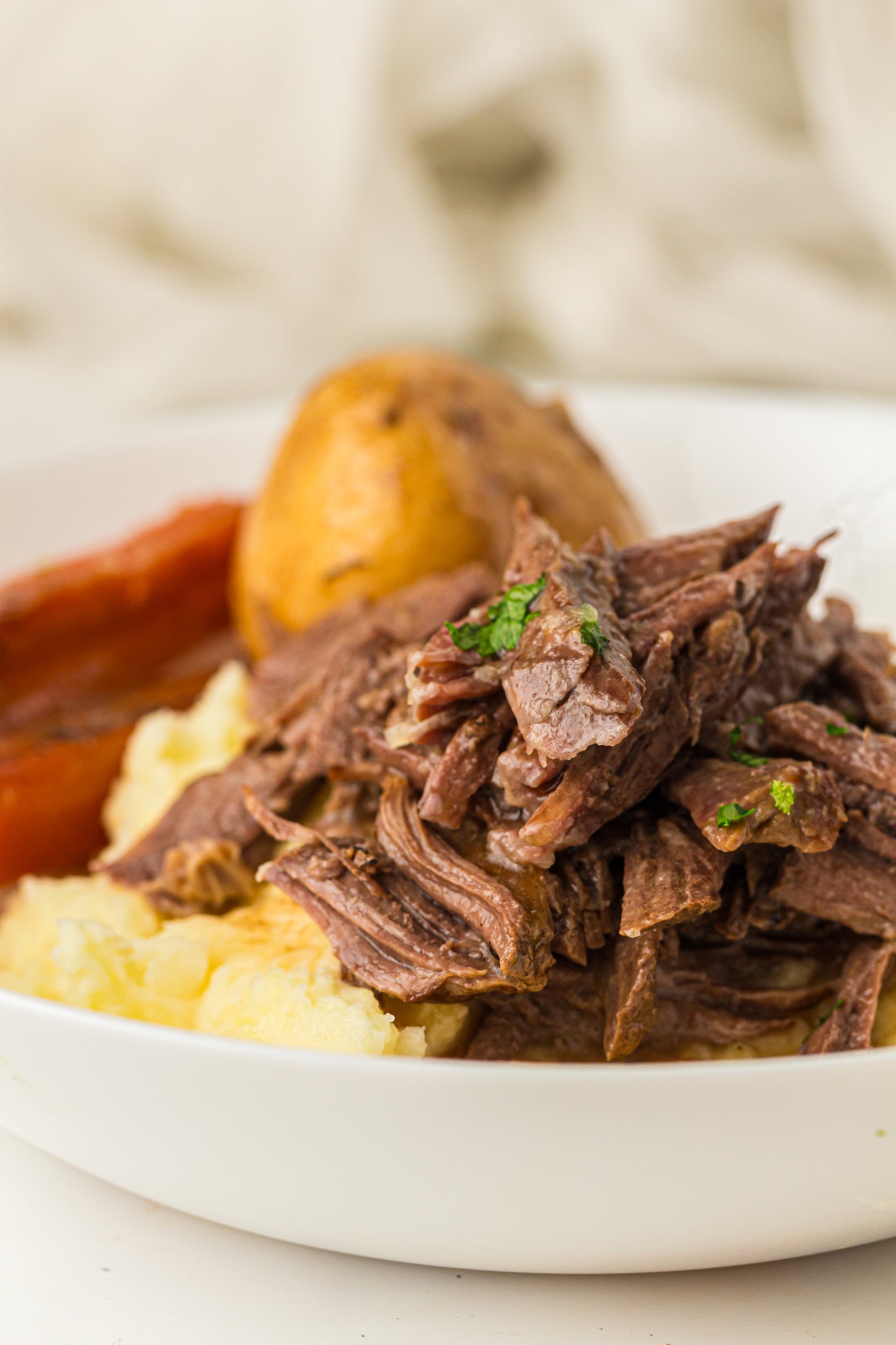 Pot Roast - PLR Recipe