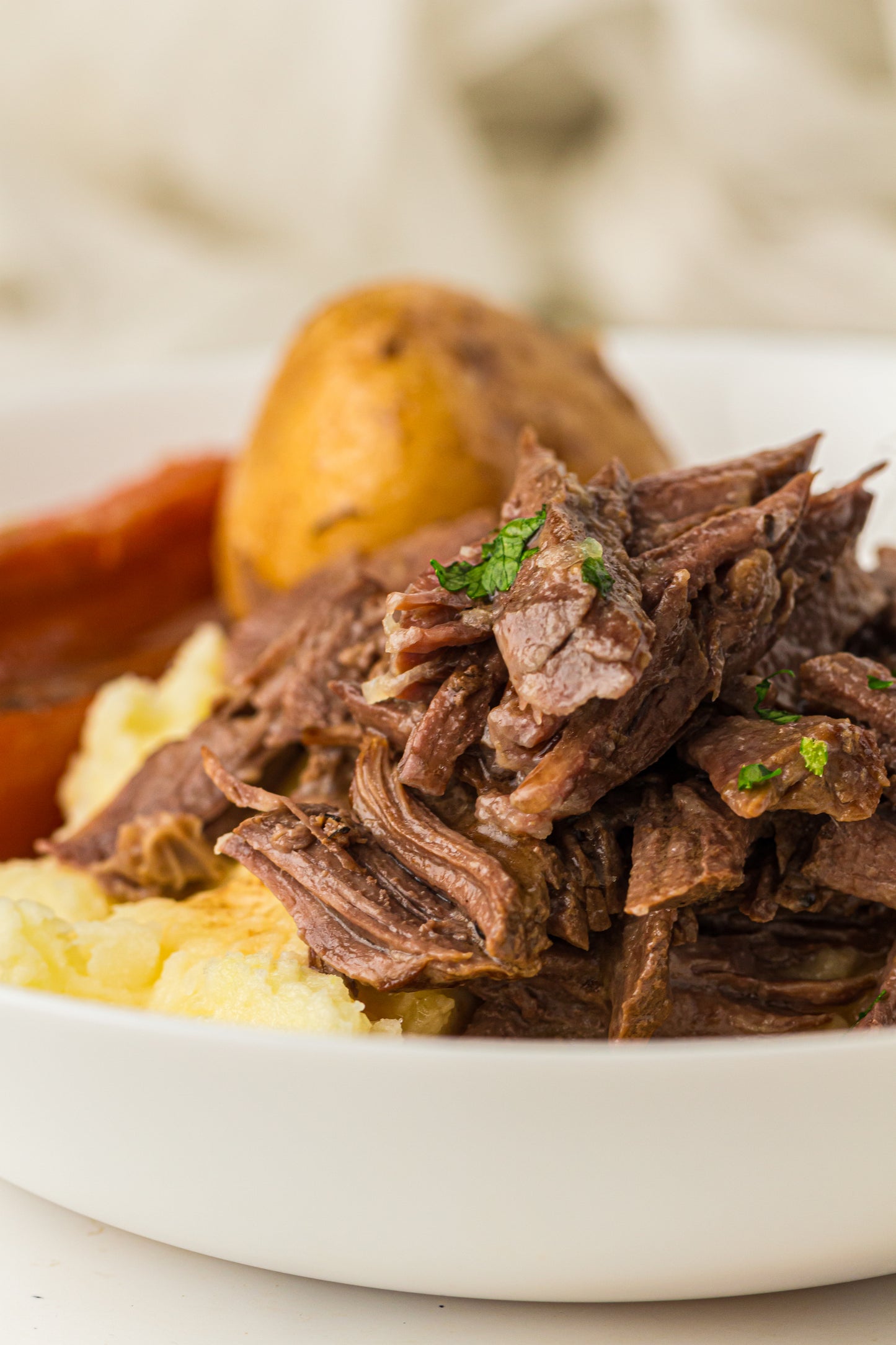 Pot Roast - PLR Recipe
