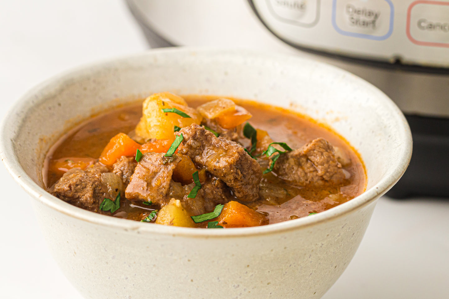 PLR Instant Pot Beef Stew