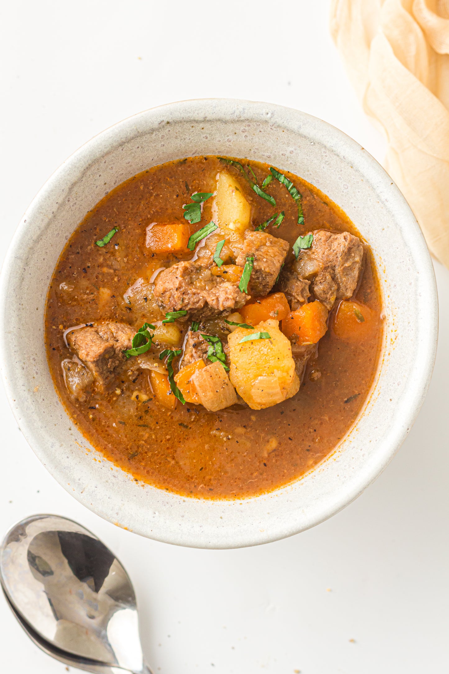 PLR Instant Pot Beef Stew