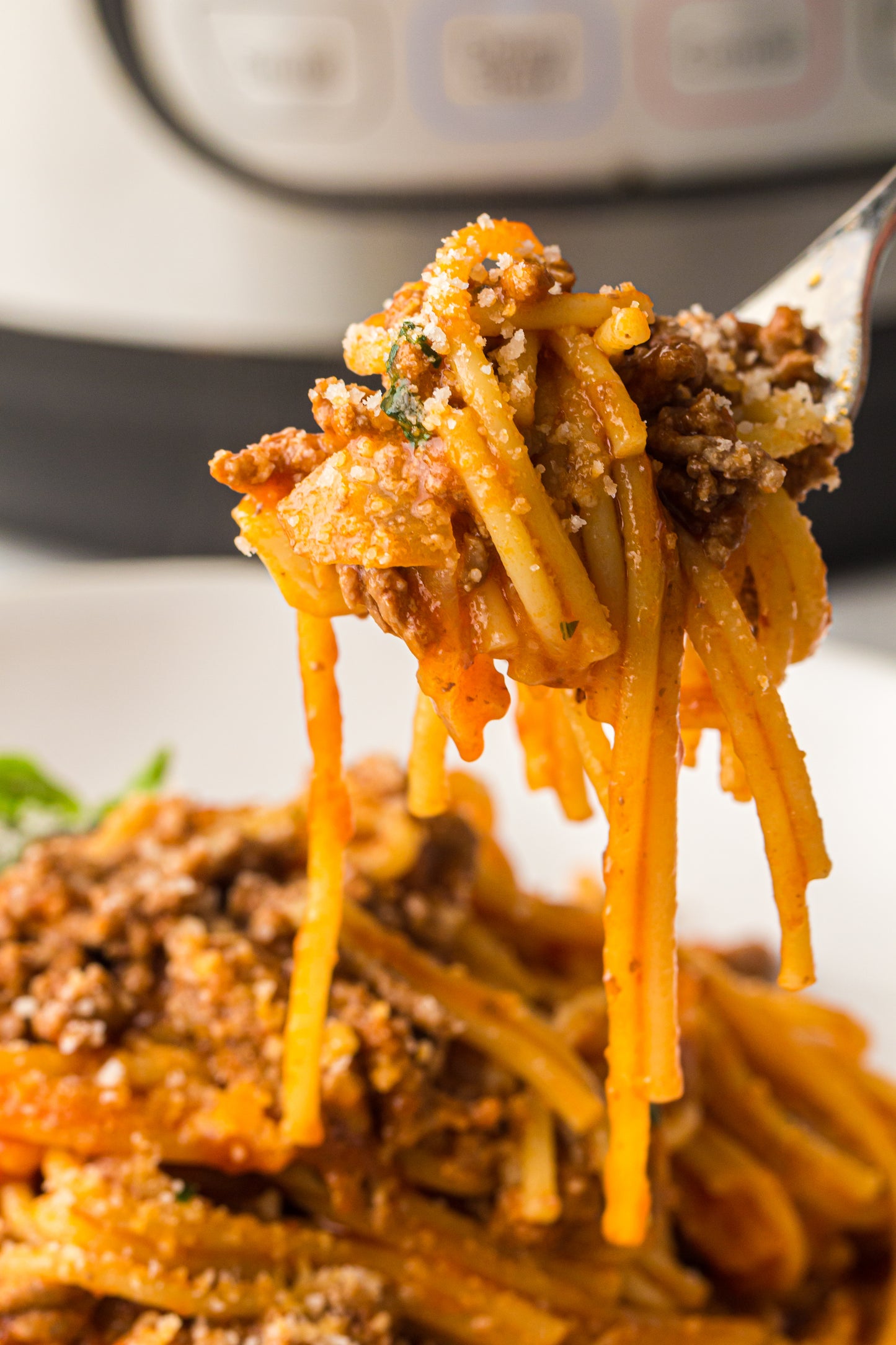PLR Instant Pot Spaghetti