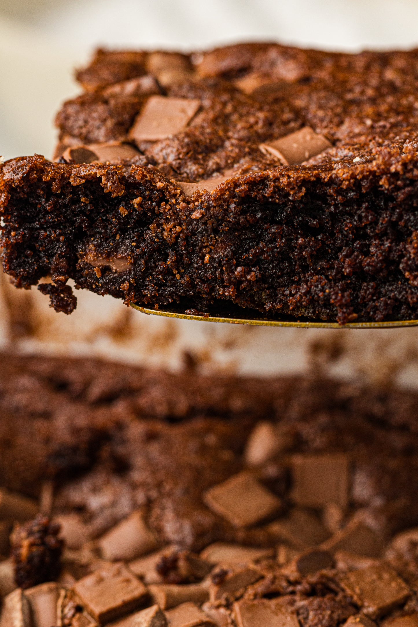 Chocolate Dump Cake PLR