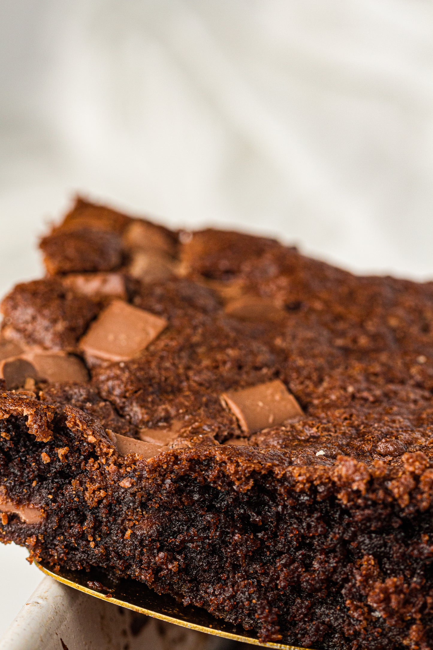 Chocolate Dump Cake PLR