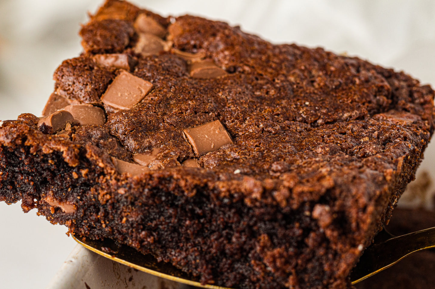 Chocolate Dump Cake PLR