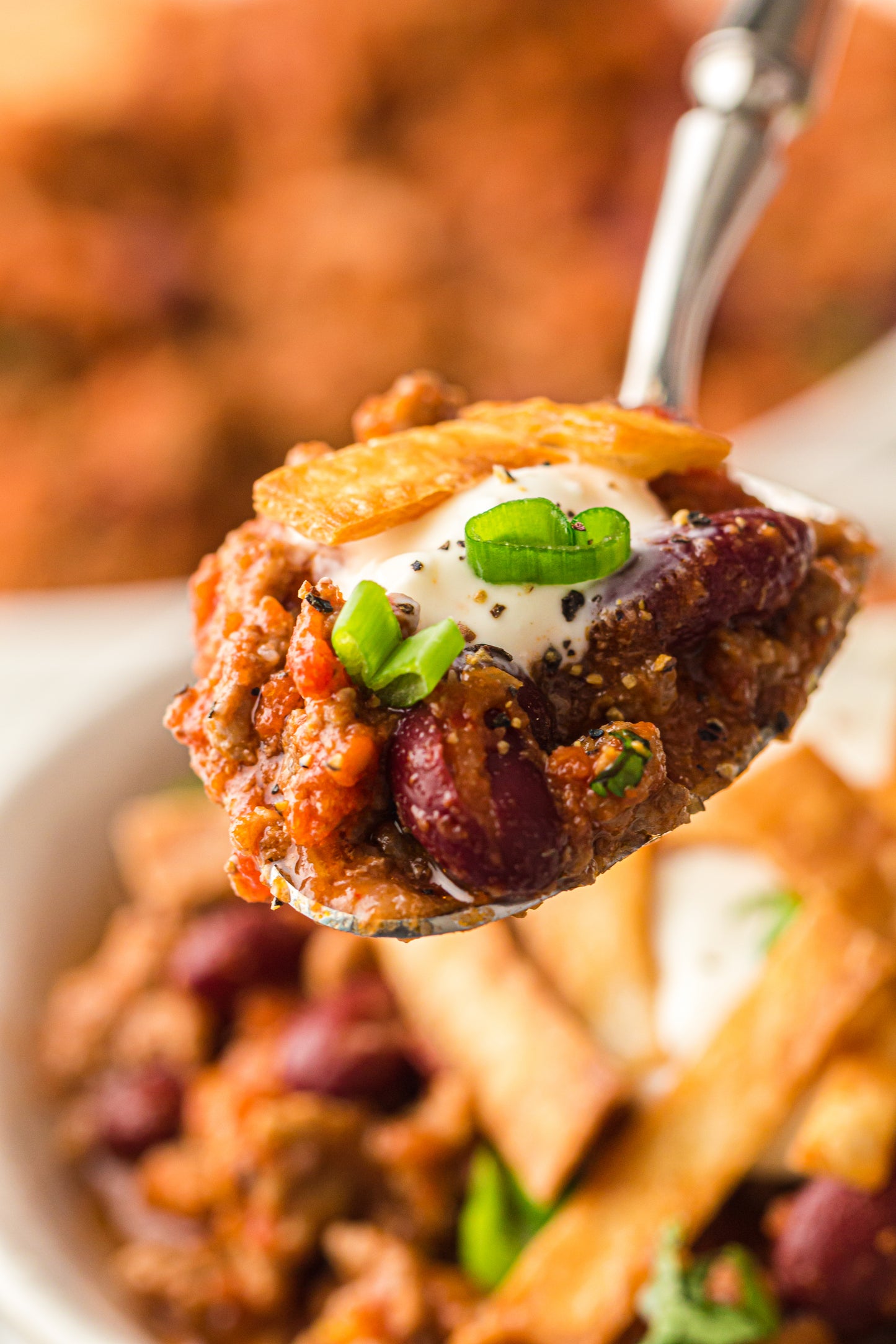 PLR Instant Pot Chilli