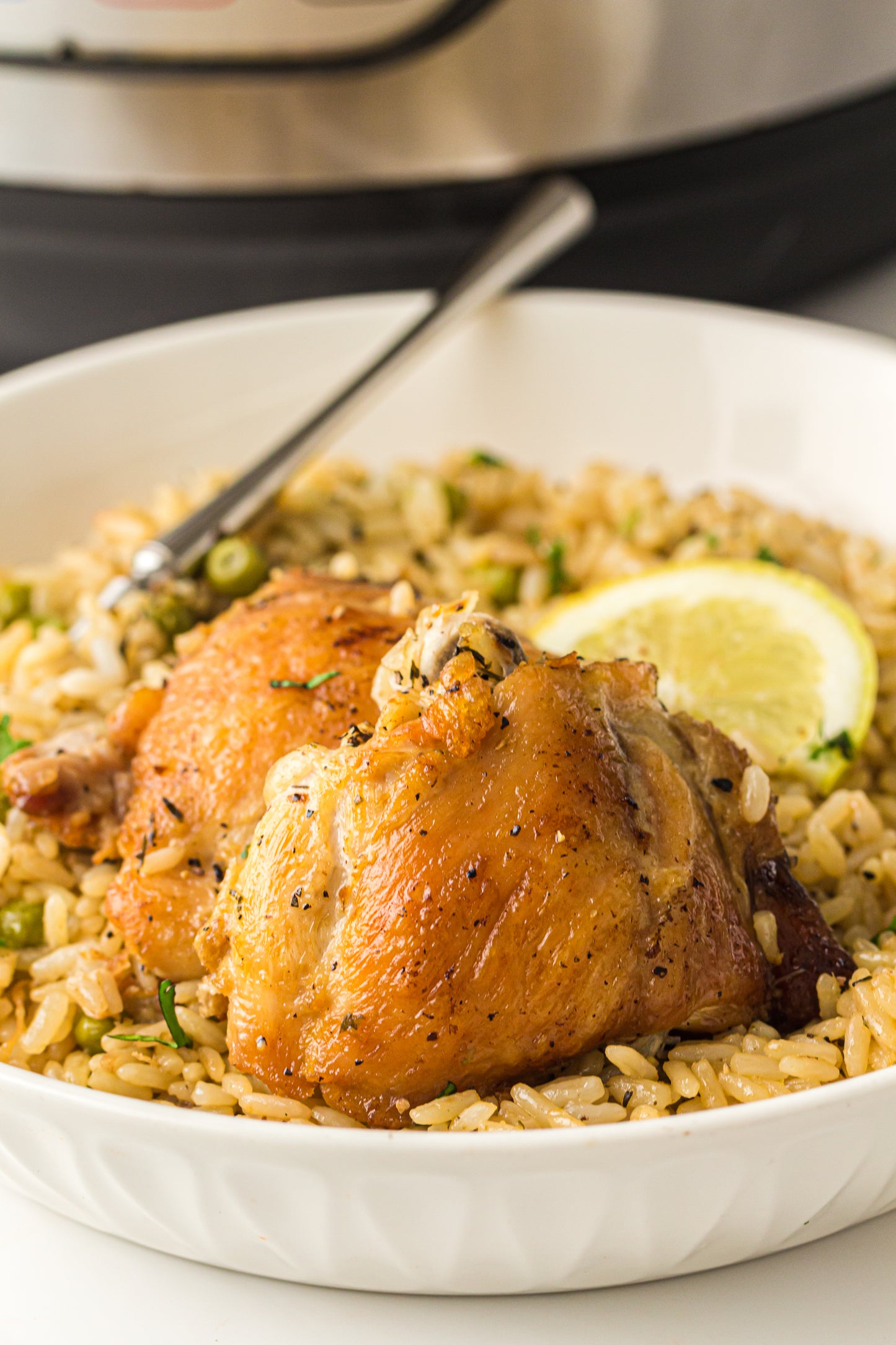 PLR Instant Pot Chicken and Rice