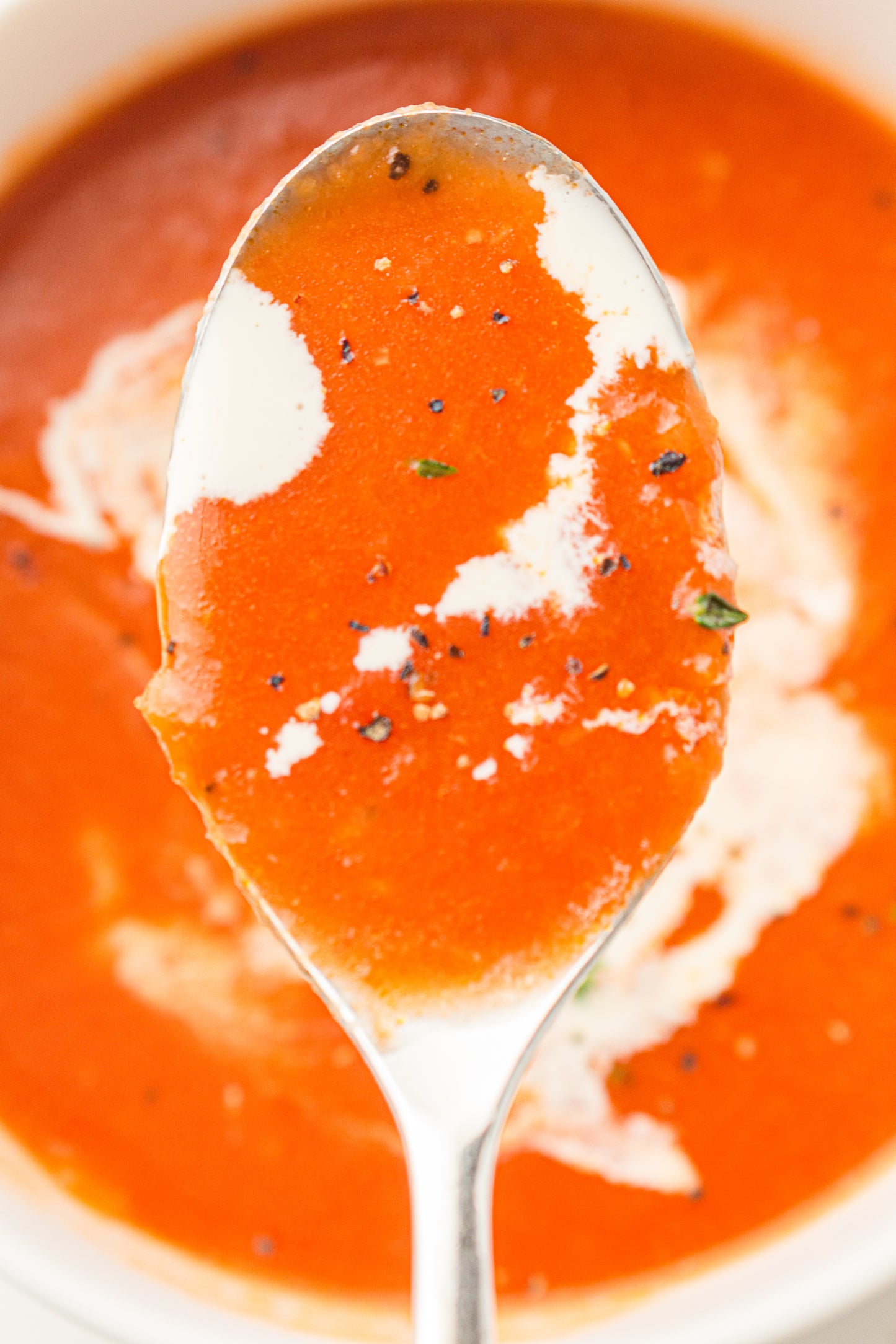 Tomato Soup – PLR Recipe