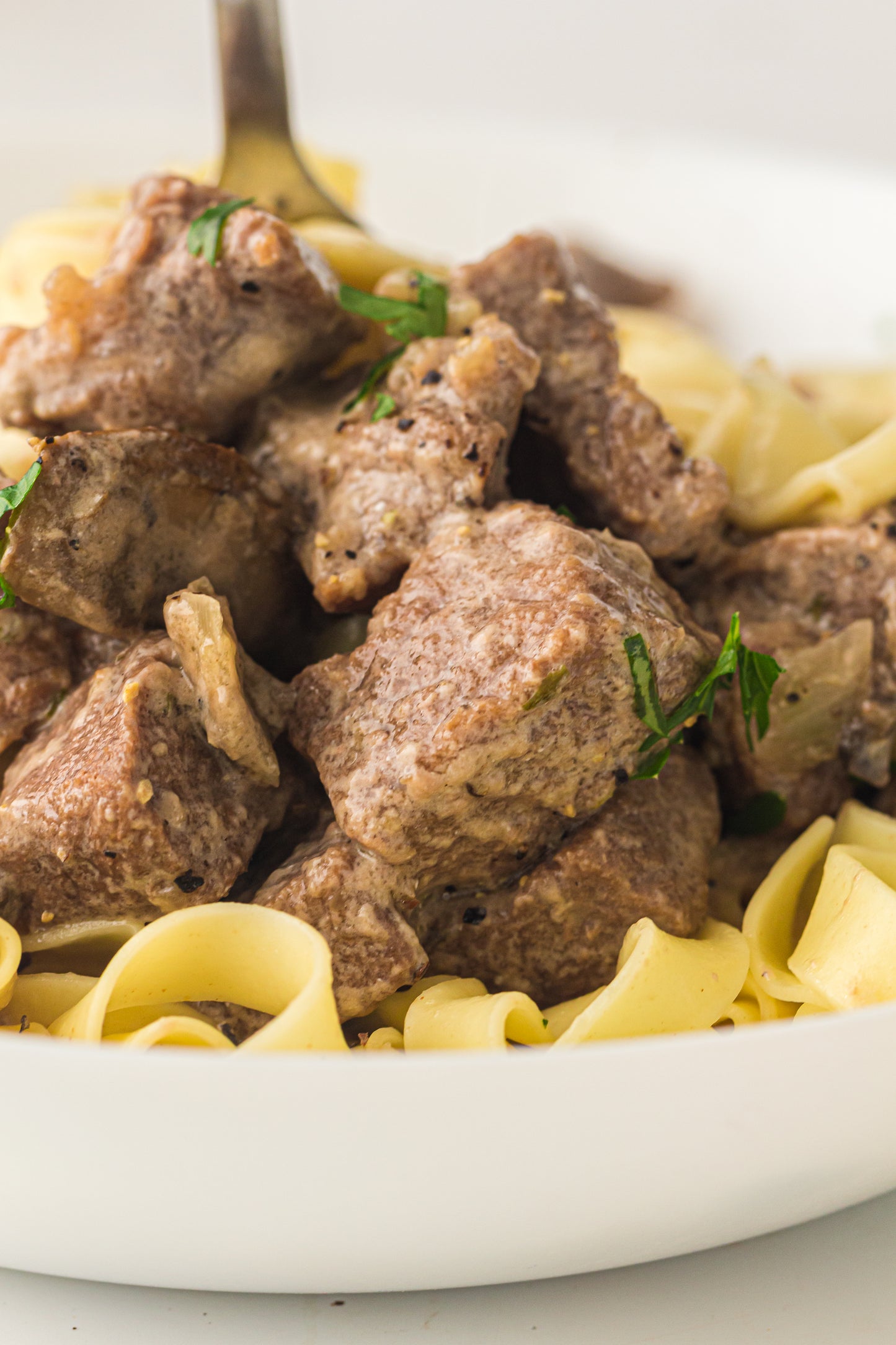 PLR Slow Cooker Beef Stroganoff