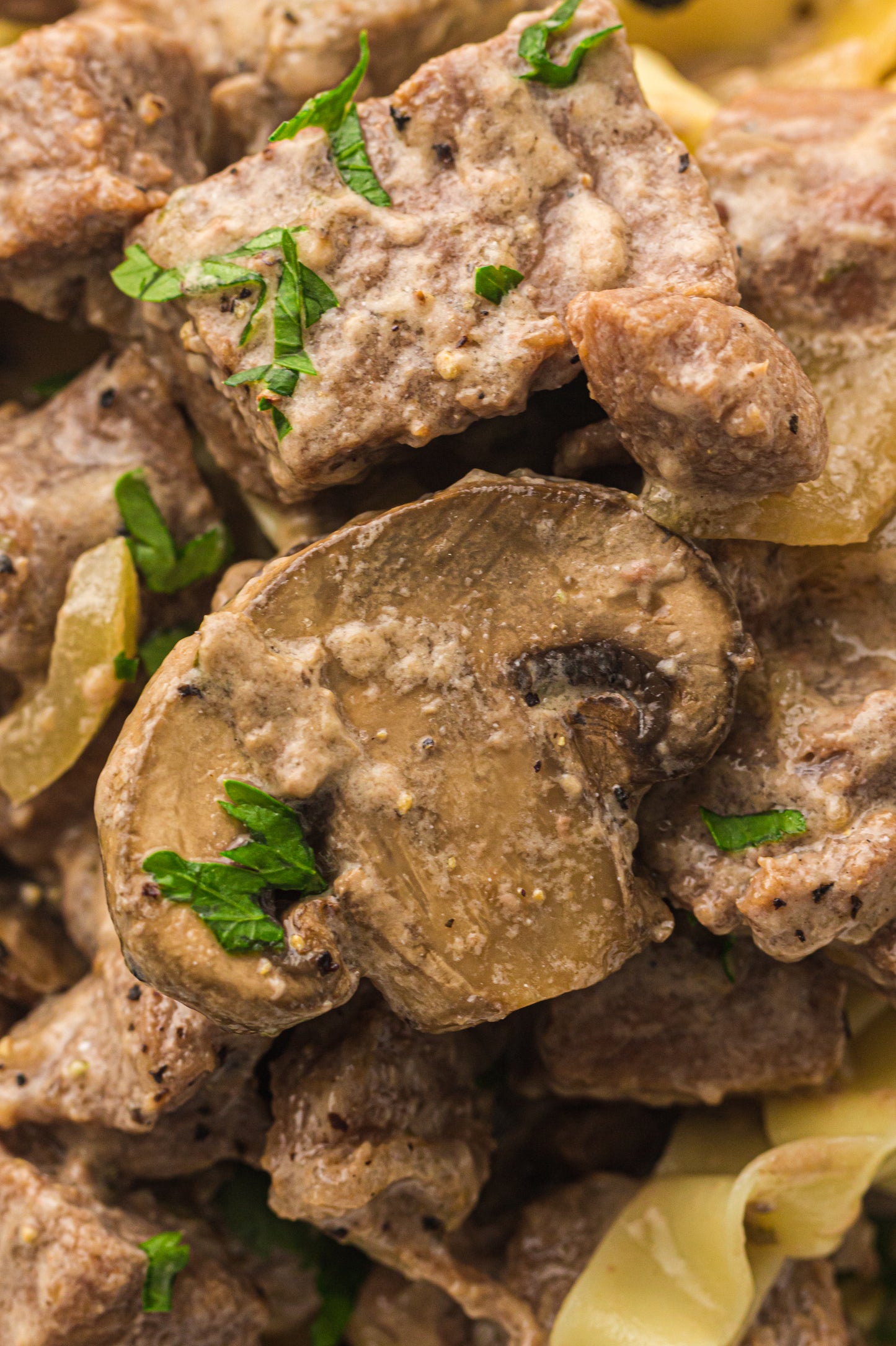 PLR Slow Cooker Beef Stroganoff