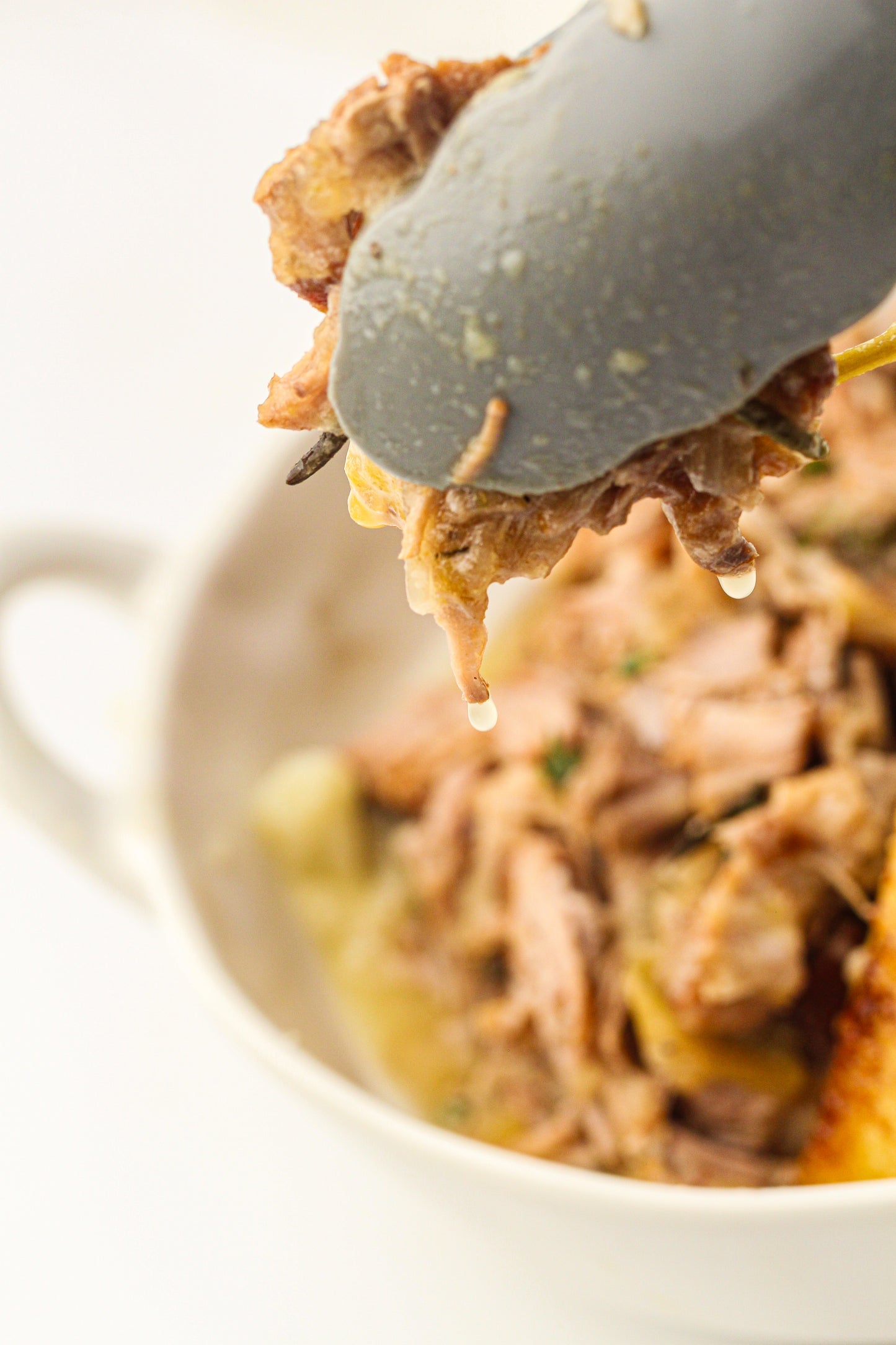 Slow CookerApple Cider Braised Pork