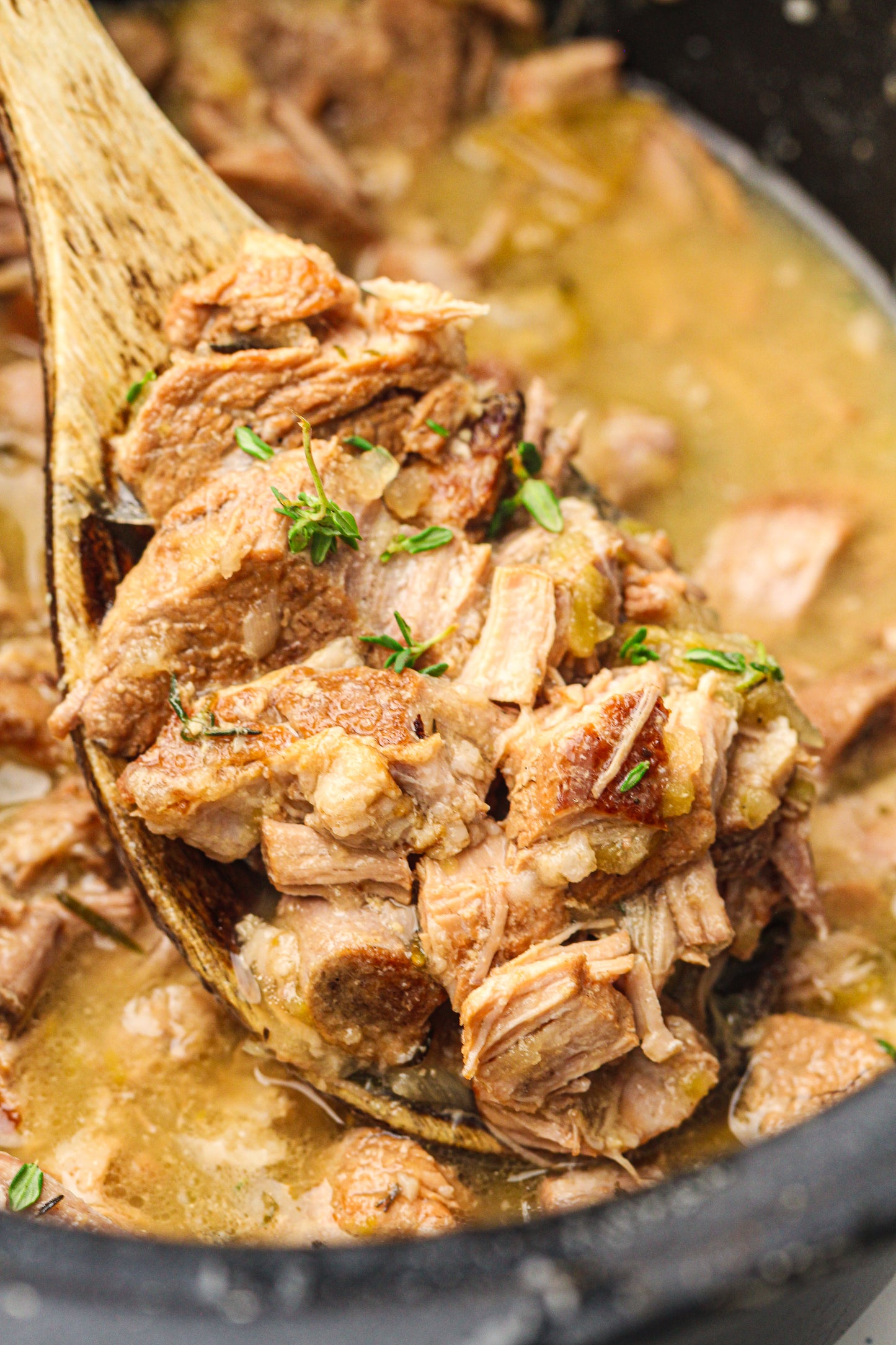 Slow CookerApple Cider Braised Pork