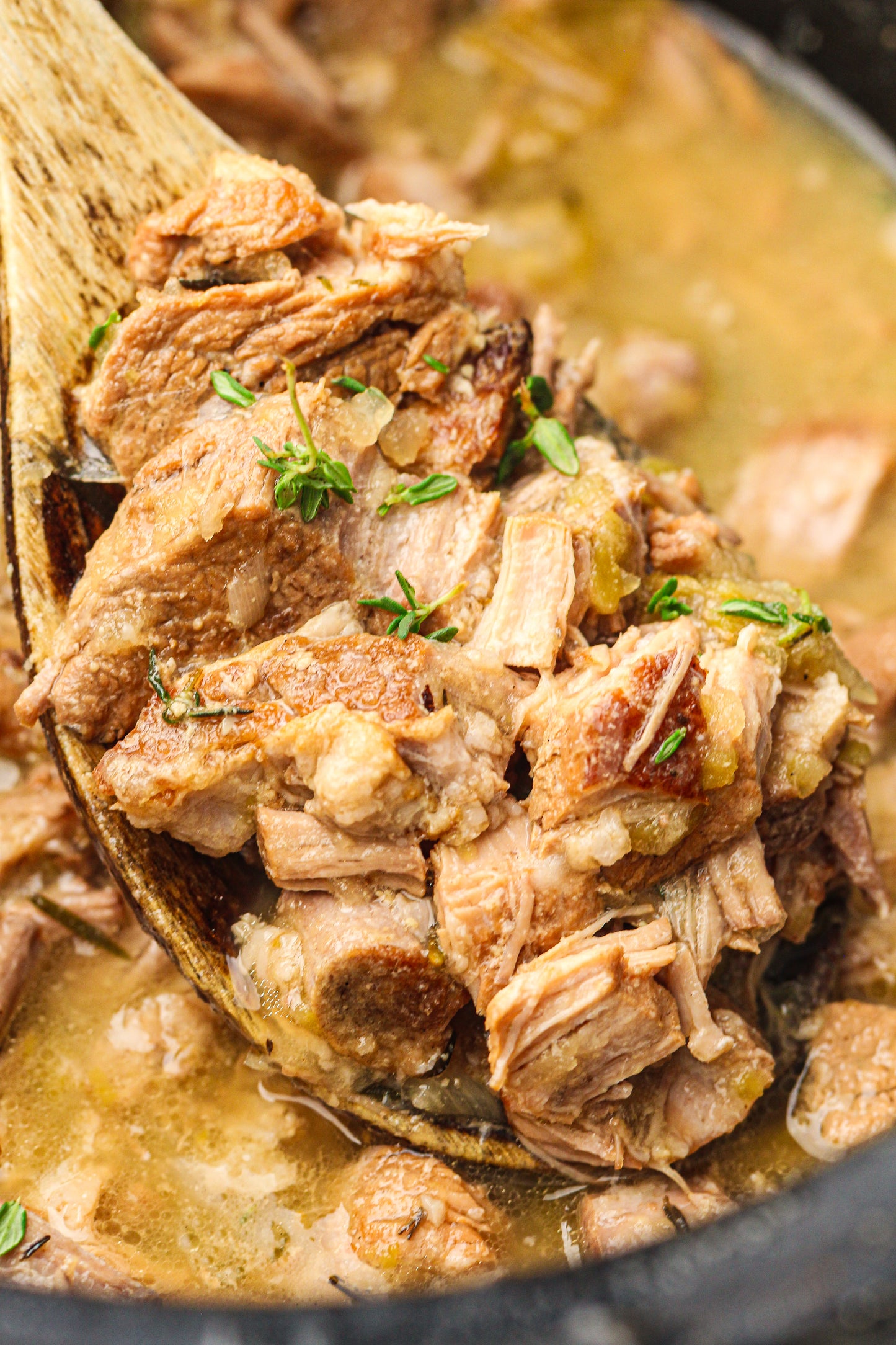 Slow CookerApple Cider Braised Pork
