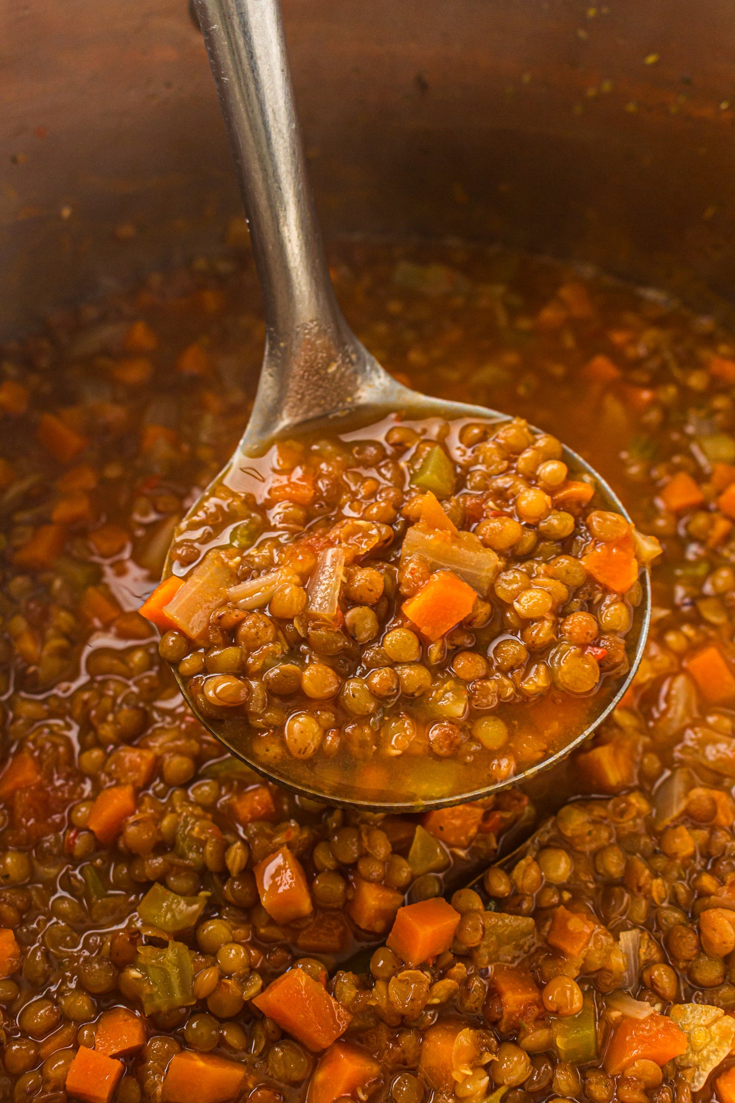 Lentil Soup  – PLR Recipe