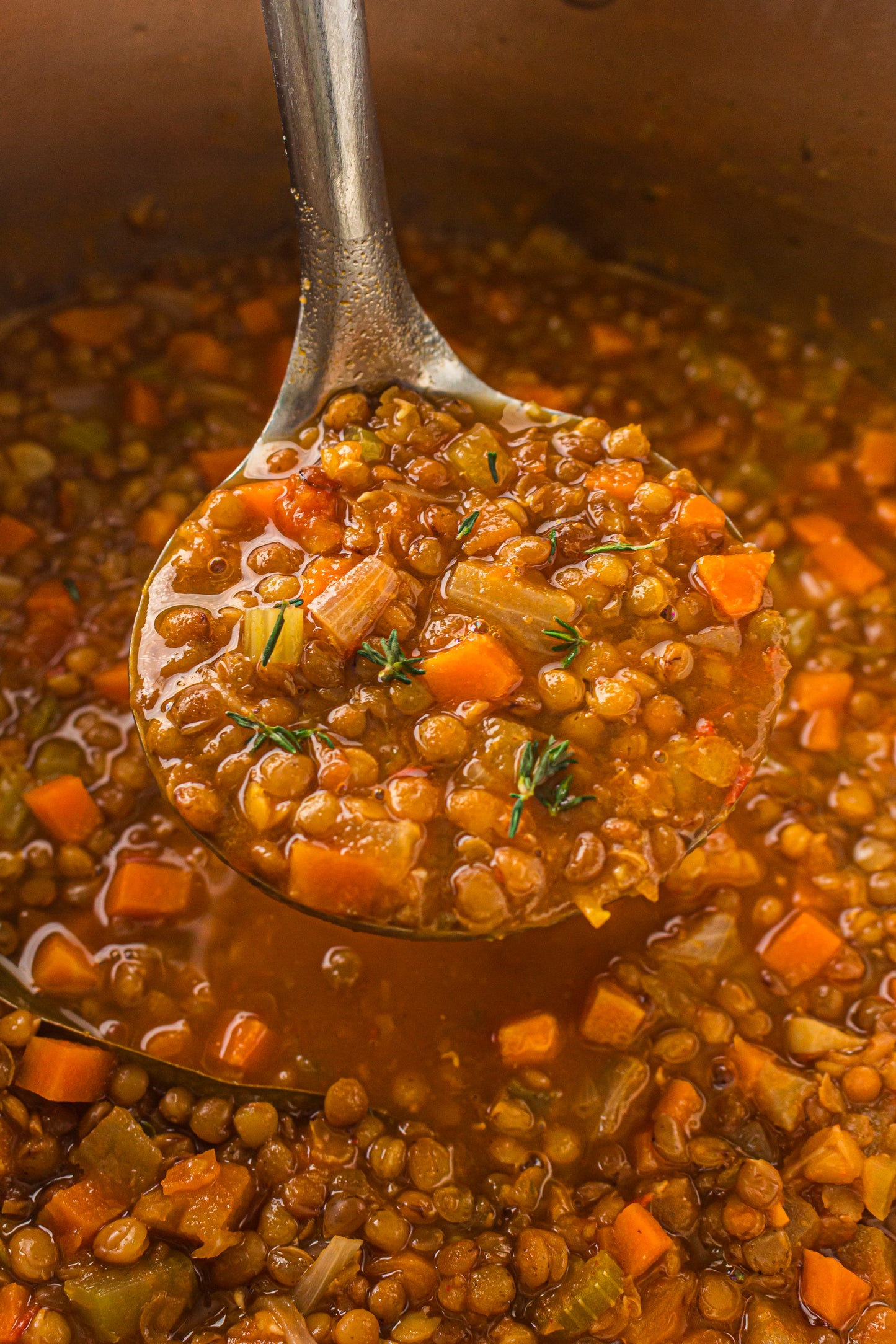 Lentil Soup  – PLR Recipe