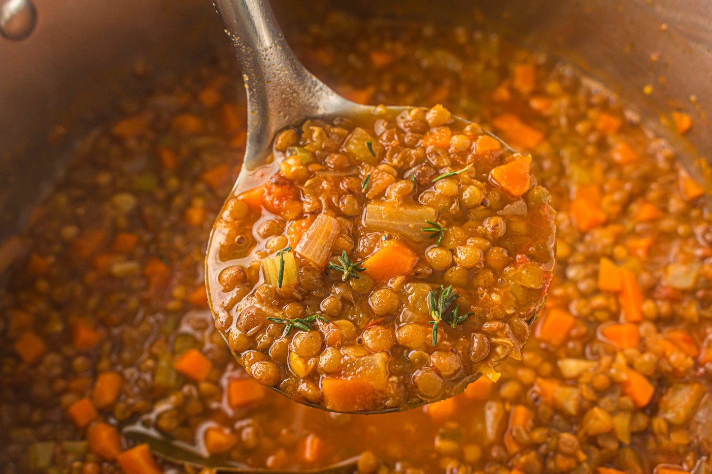 Lentil Soup  – PLR Recipe