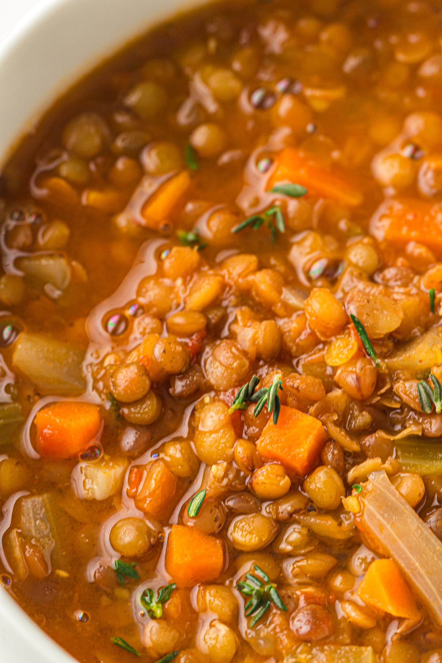 Lentil Soup  – PLR Recipe