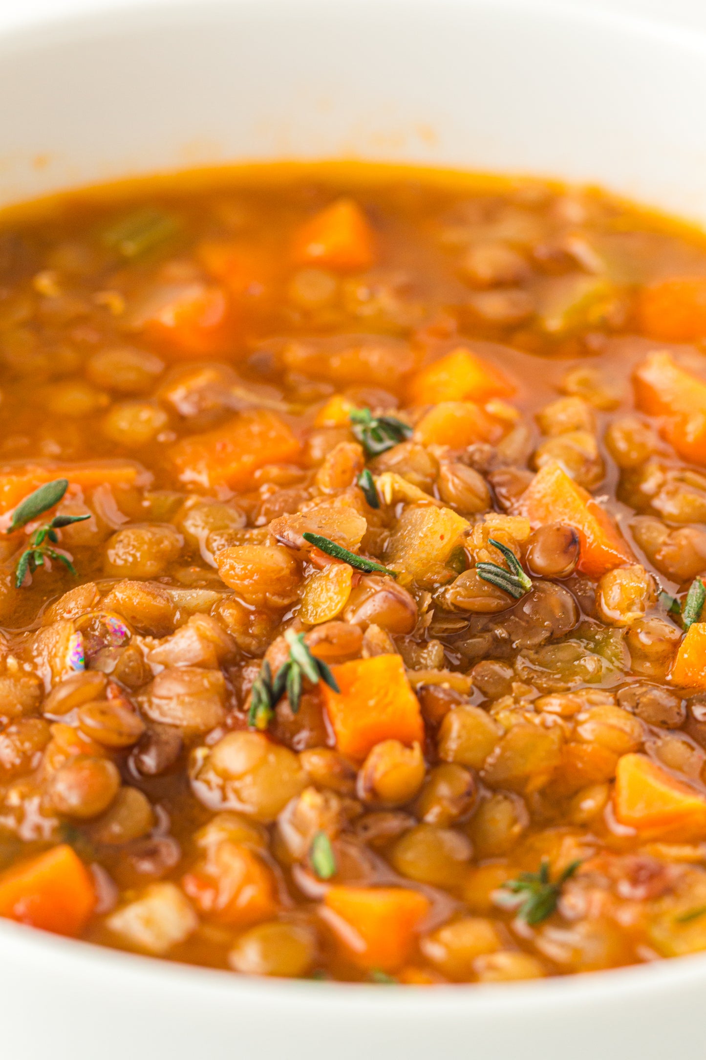 Lentil Soup  – PLR Recipe