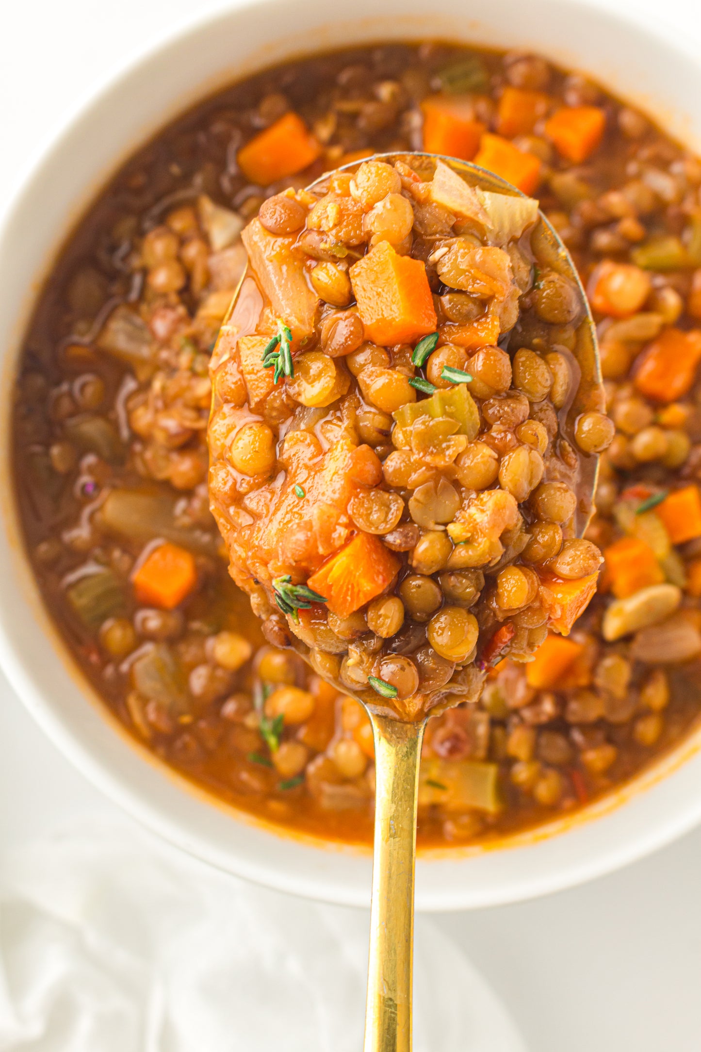 Lentil Soup  – PLR Recipe