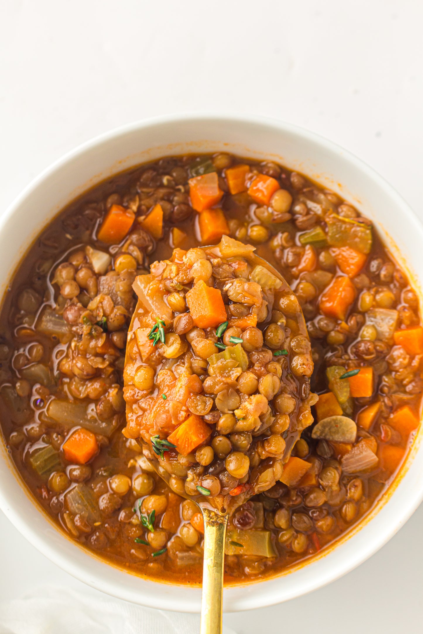 Lentil Soup  – PLR Recipe