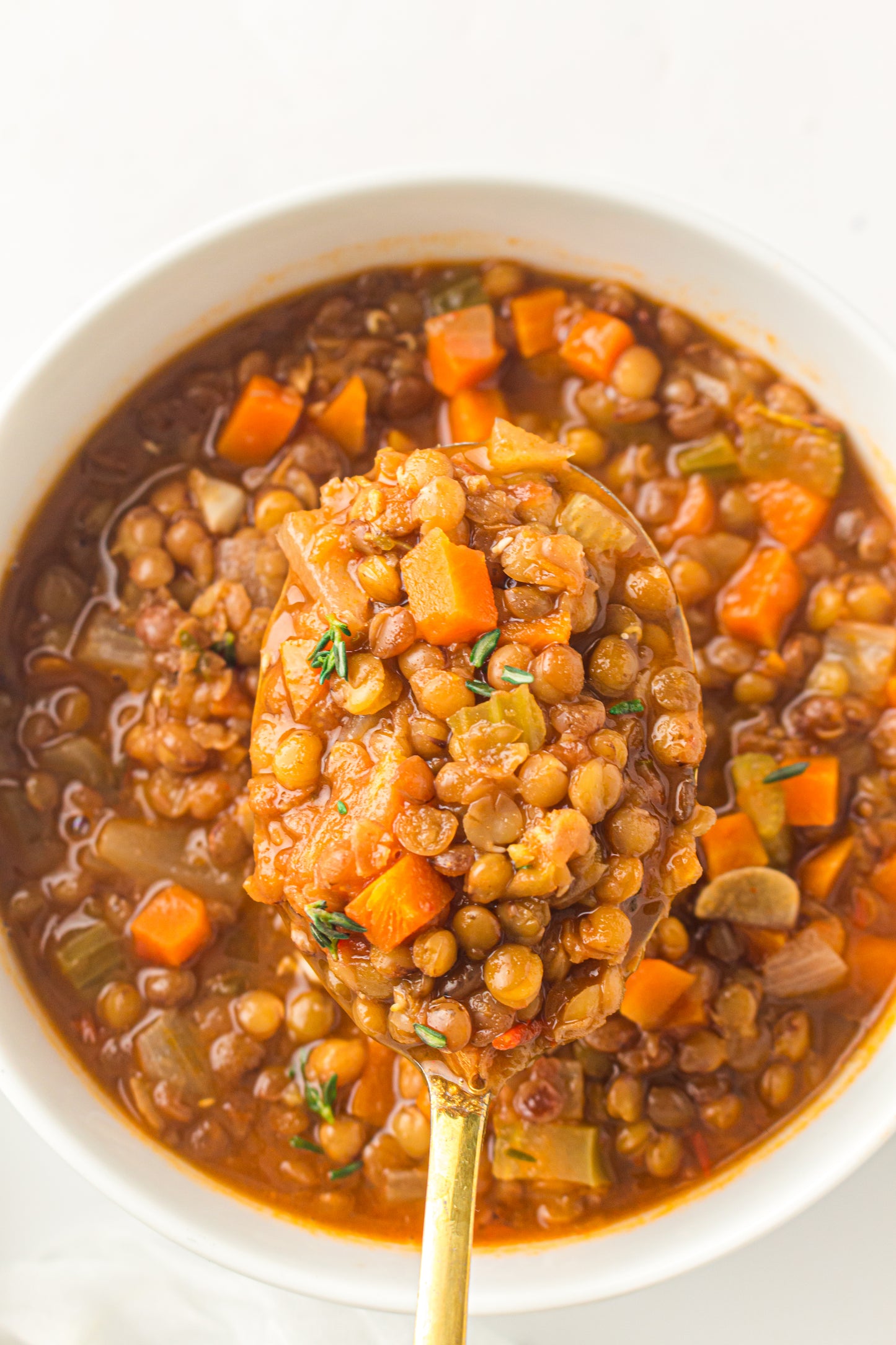 Lentil Soup  – PLR Recipe