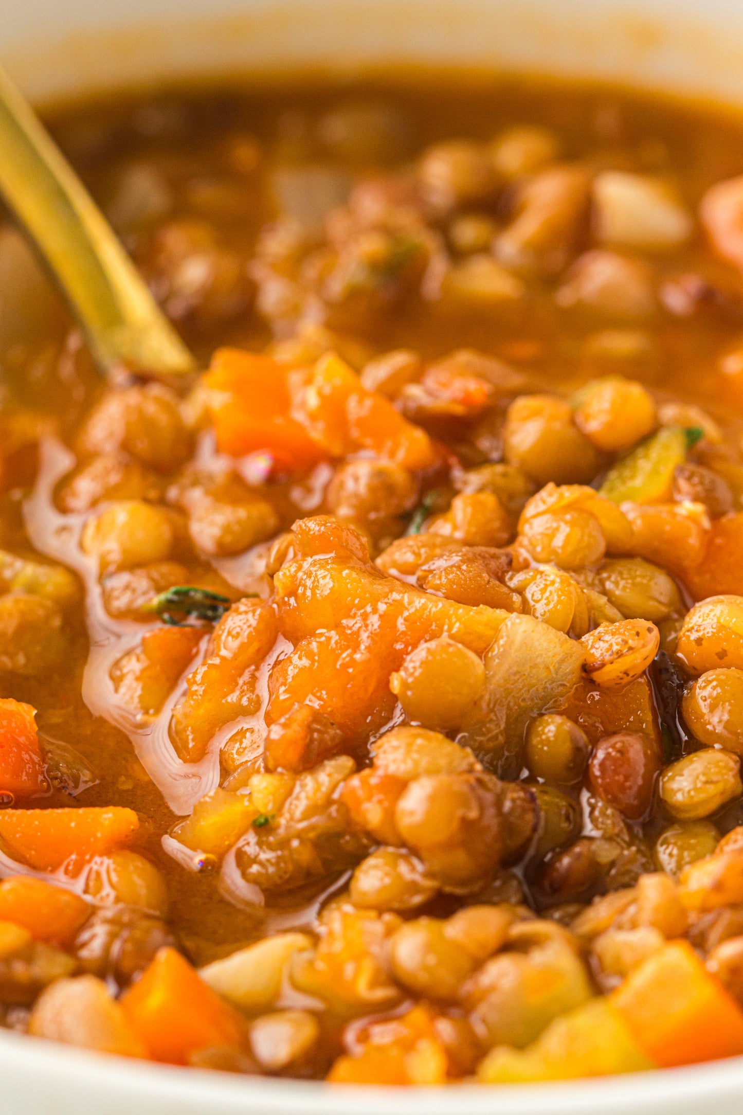 Lentil Soup  – PLR Recipe