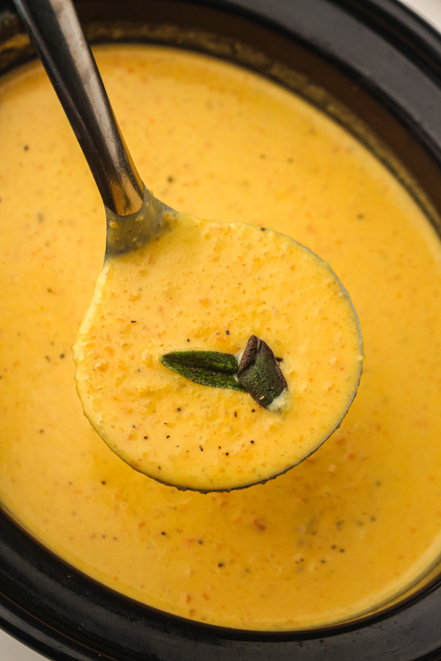 Slow Cooker Butternut Squash Soup Recipe