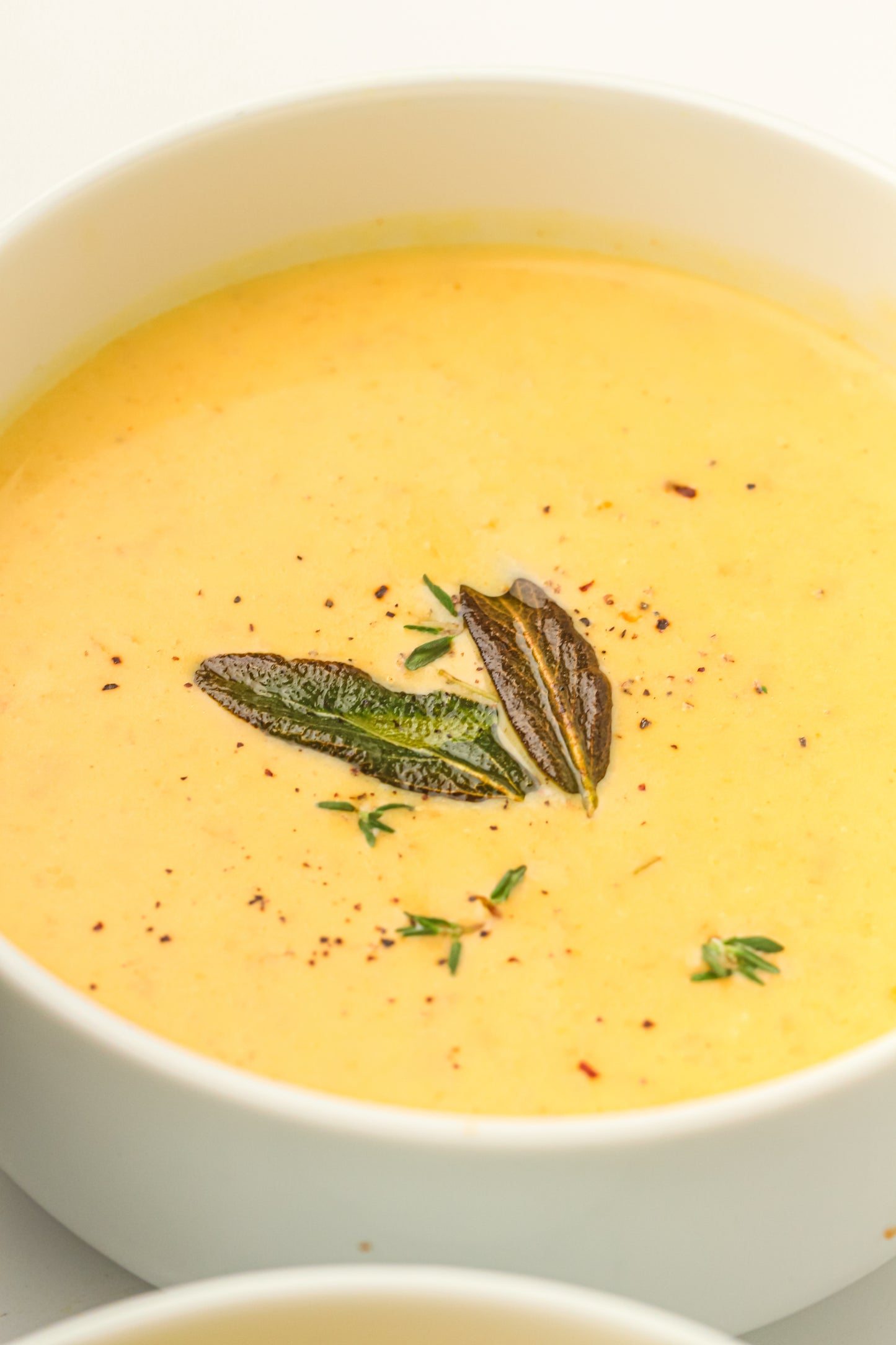 Slow Cooker Butternut Squash Soup Recipe