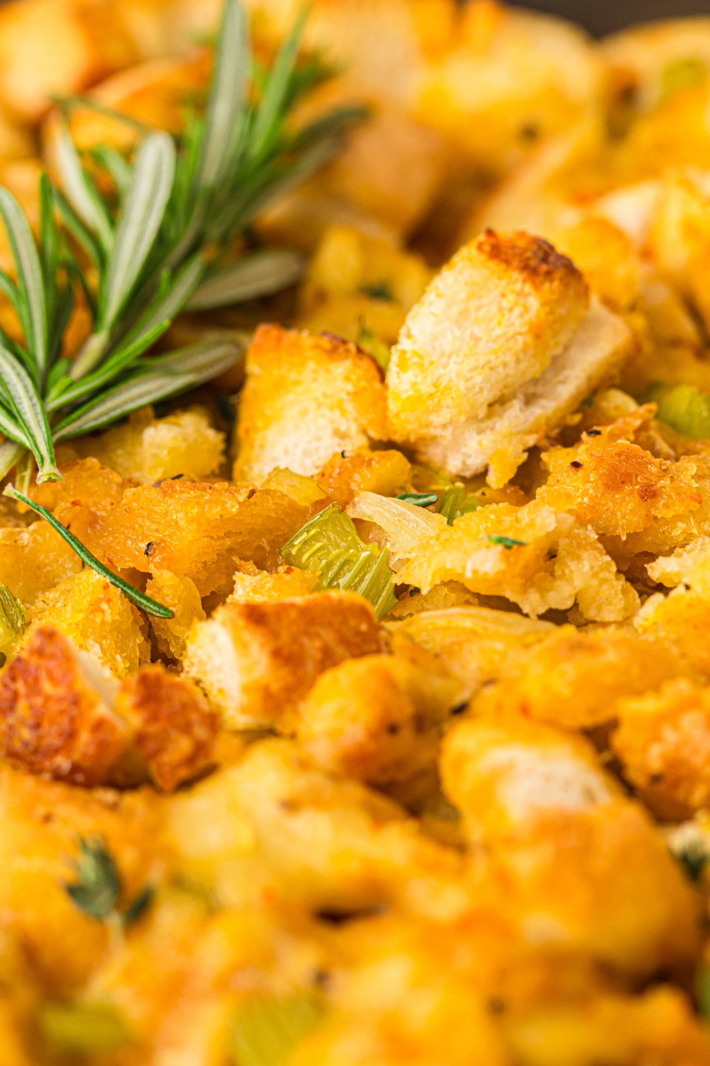 Bread Stuffing PLR