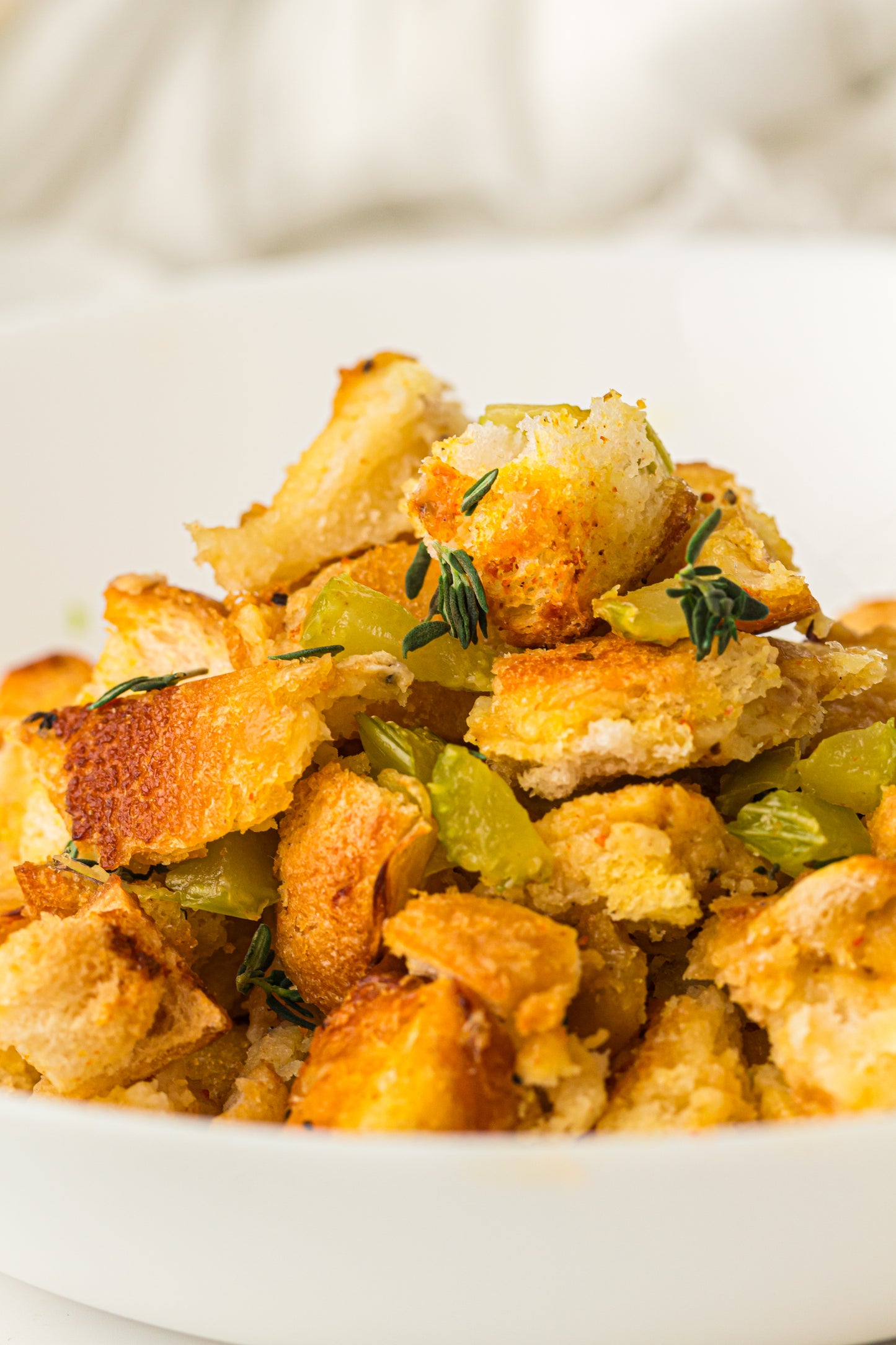 Bread Stuffing PLR