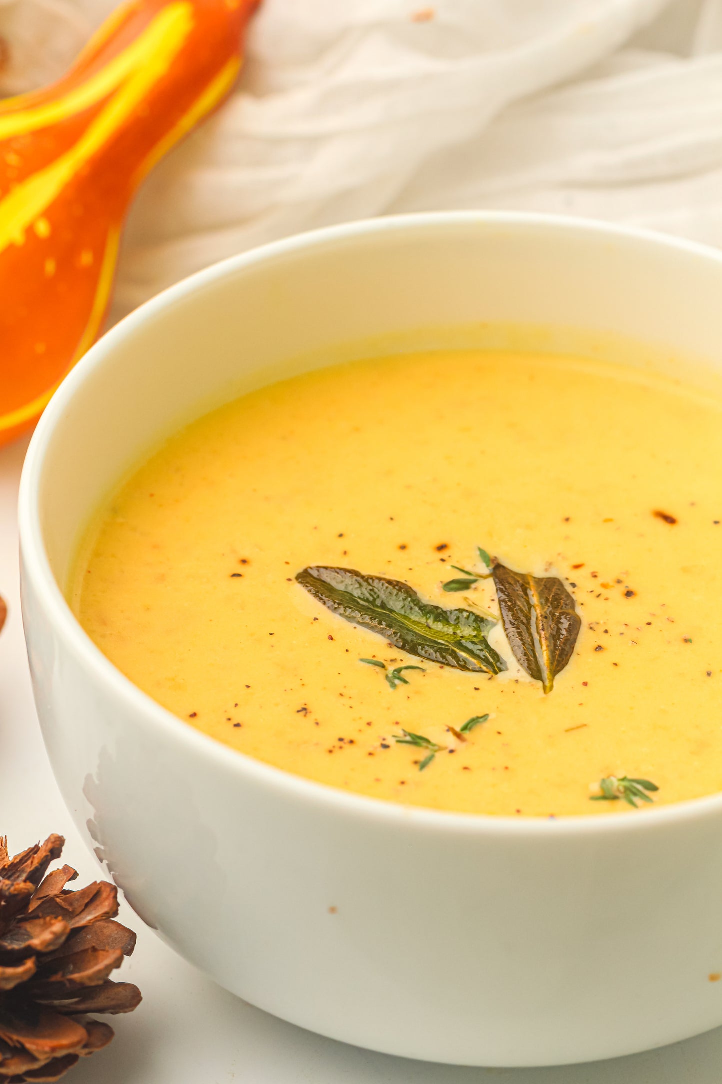Slow Cooker Butternut Squash Soup Recipe