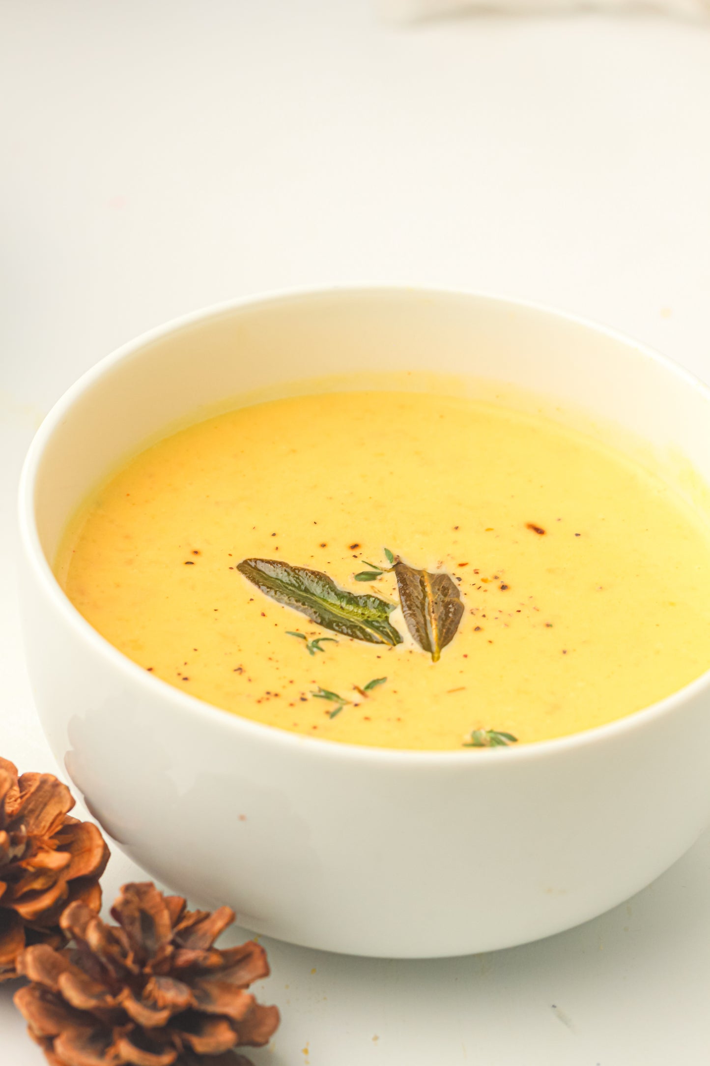Slow Cooker Butternut Squash Soup Recipe