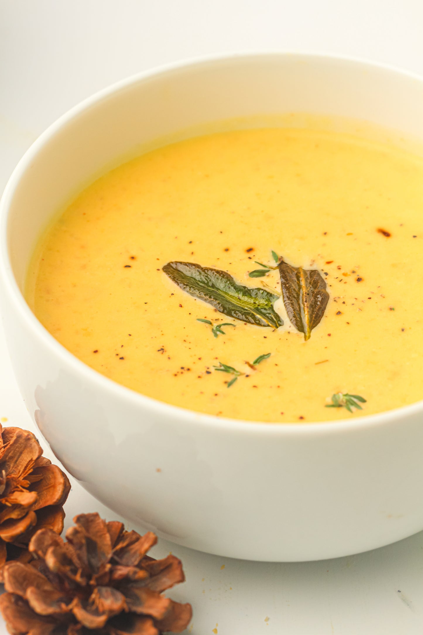 Slow Cooker Butternut Squash Soup Recipe